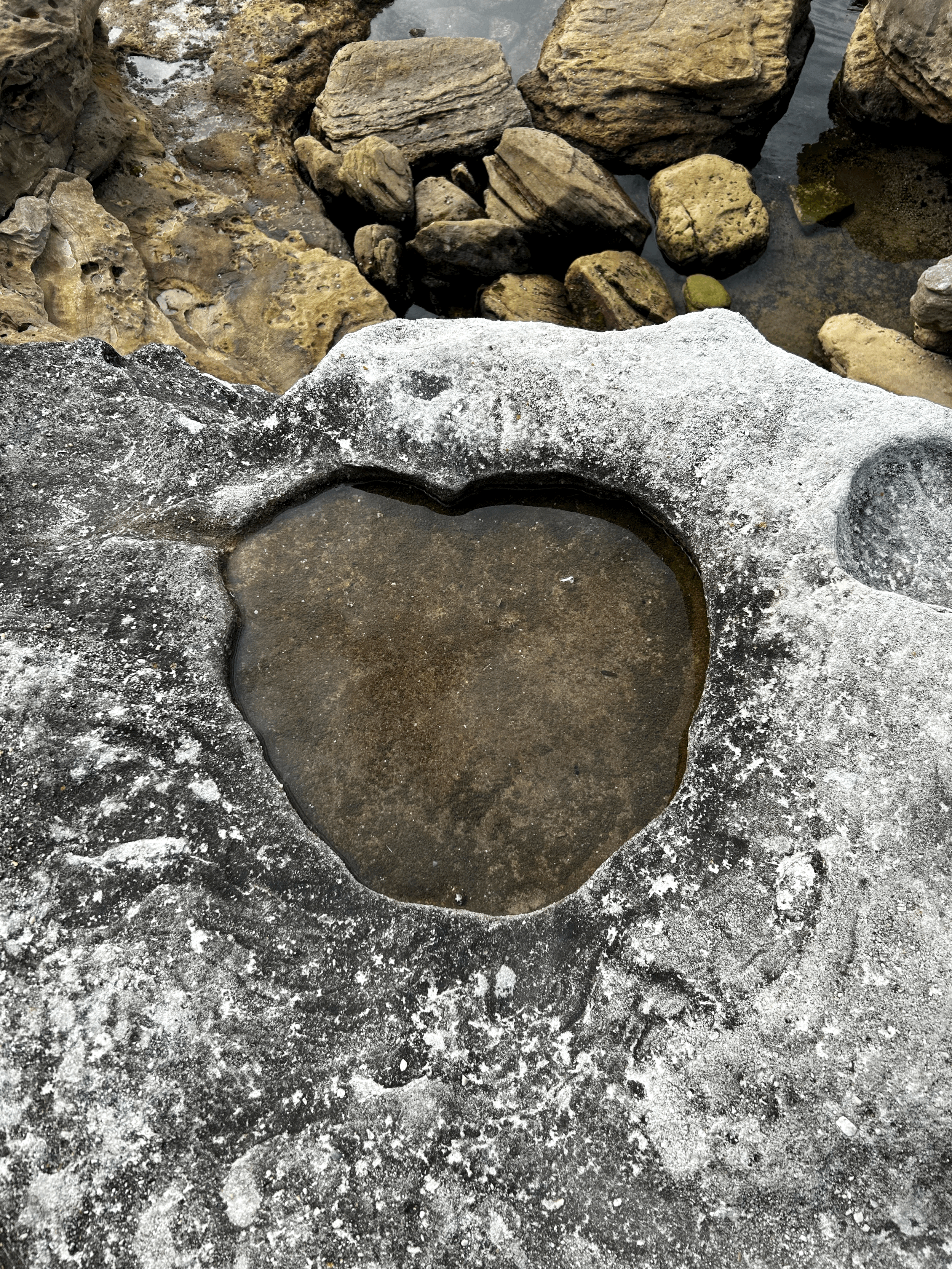 Breaking it Down: Universal Frameworks to Resolve Ethical Dilemmas (via Zoom)