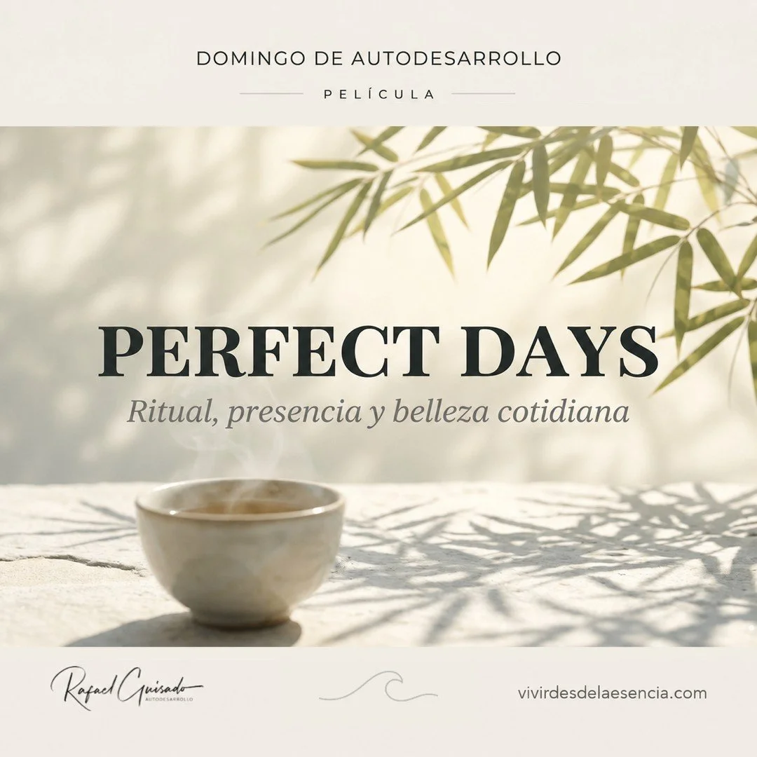 Cartel de Perfect Days: un cuenco de té humeante sobre piedra clara bajo la sombra de un bambú, con el subtítulo «Ritual, presencia y belleza cotidiana».