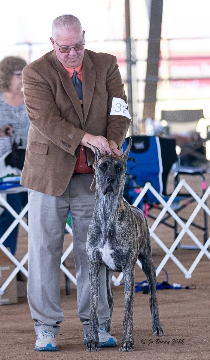 Kiki, Arapahoe KC 2022