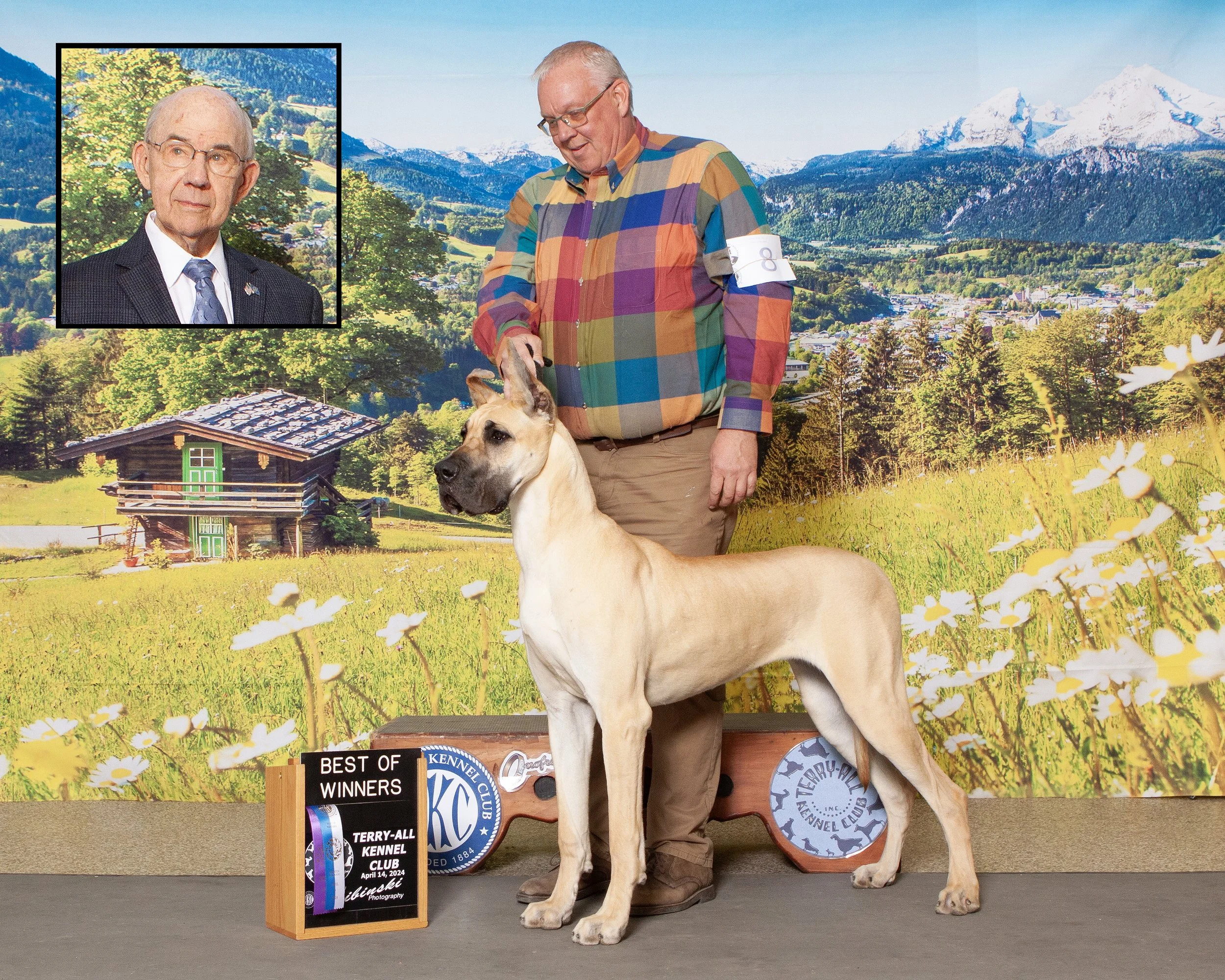 Clover-Best of Winners 2024