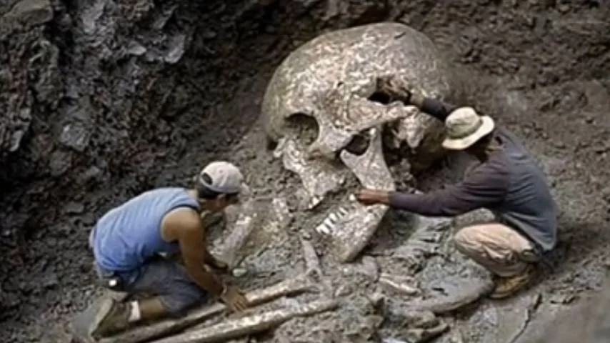 Commander Thor’s Intel 