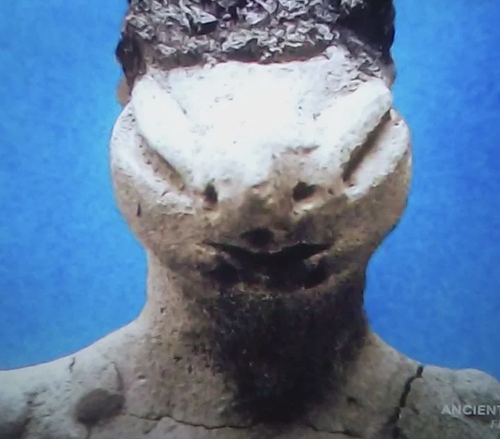 Commander Thor’s Intel   