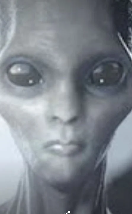 Commander Thor’s Intel   