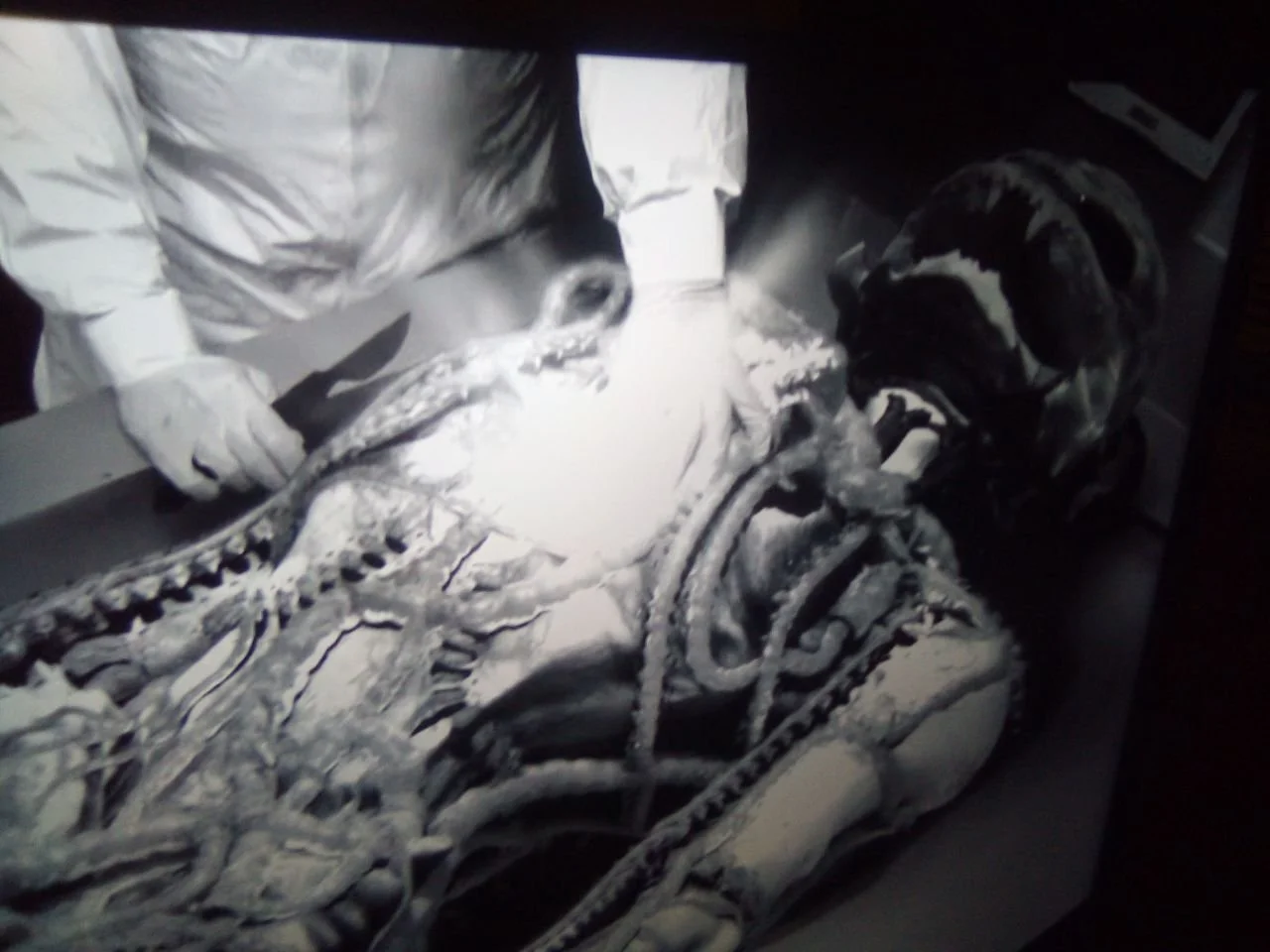 Commander Thor’s Intel 