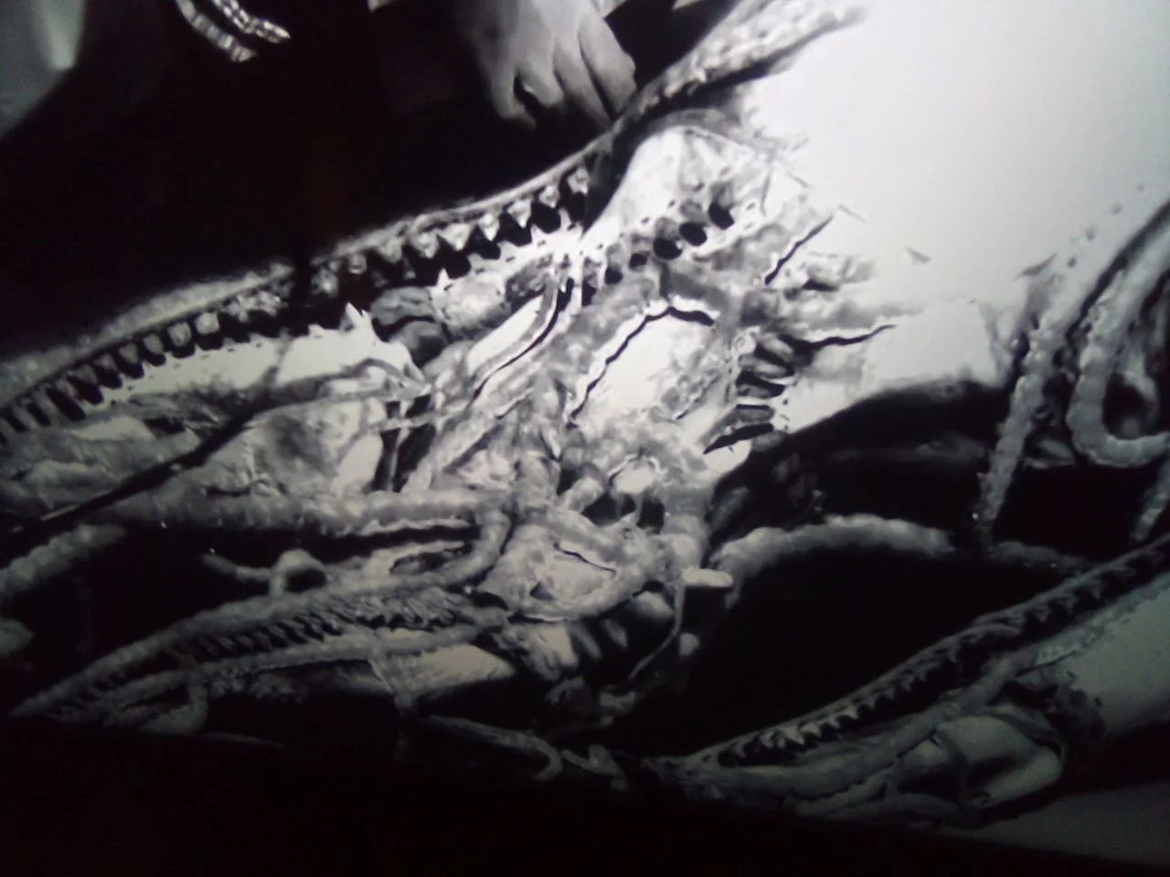 Commander Thor’s Intel 