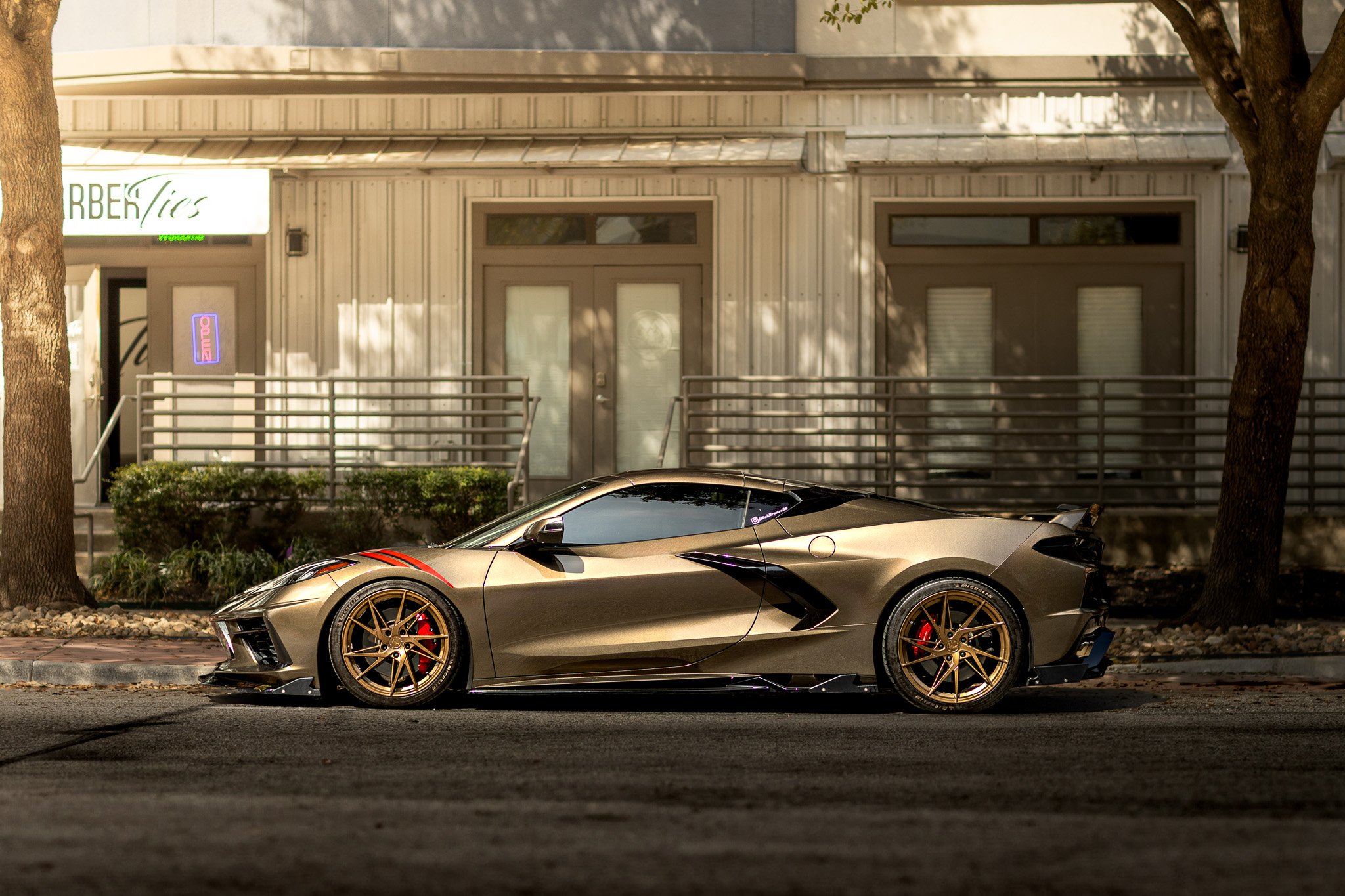 Corvette C8 Side View.jpg