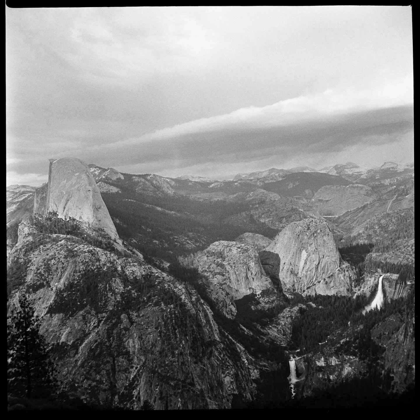 My business and my work is me. It is not a separate entity. It is an extension of myself, my heart. The situation is too dire not to have an explicitly stated stance in the wake of yet another murder at the hands of an increasingly cruel government. 