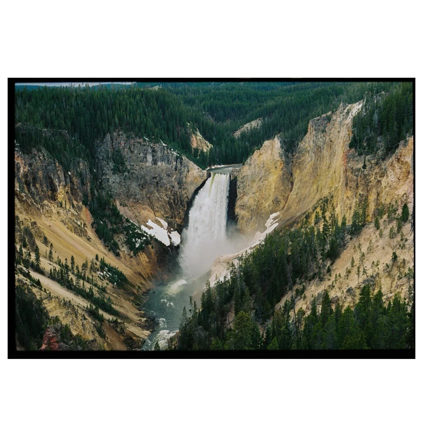 forgotten frames part one-yellowstone 
I have too many photos from this trip that have still never seen the light of day so here they are in bits and pieces. 
(the end of this one is pretty cute)

shot on kodak &amp;  ilford - 35 &amp; 120
