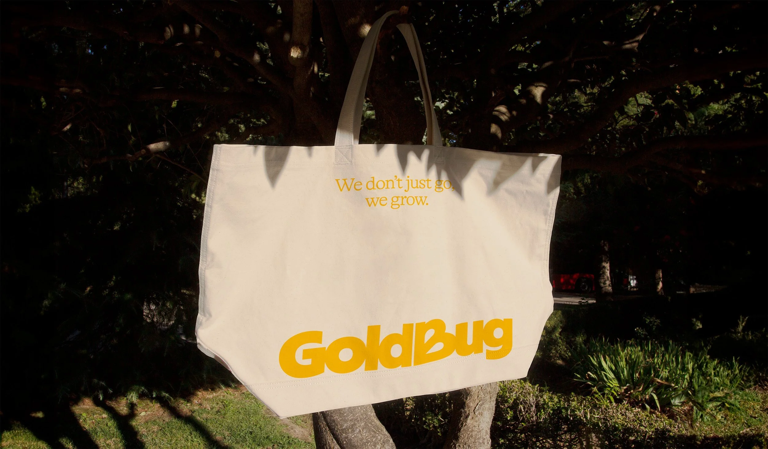 GoldBug Swag, Product Design