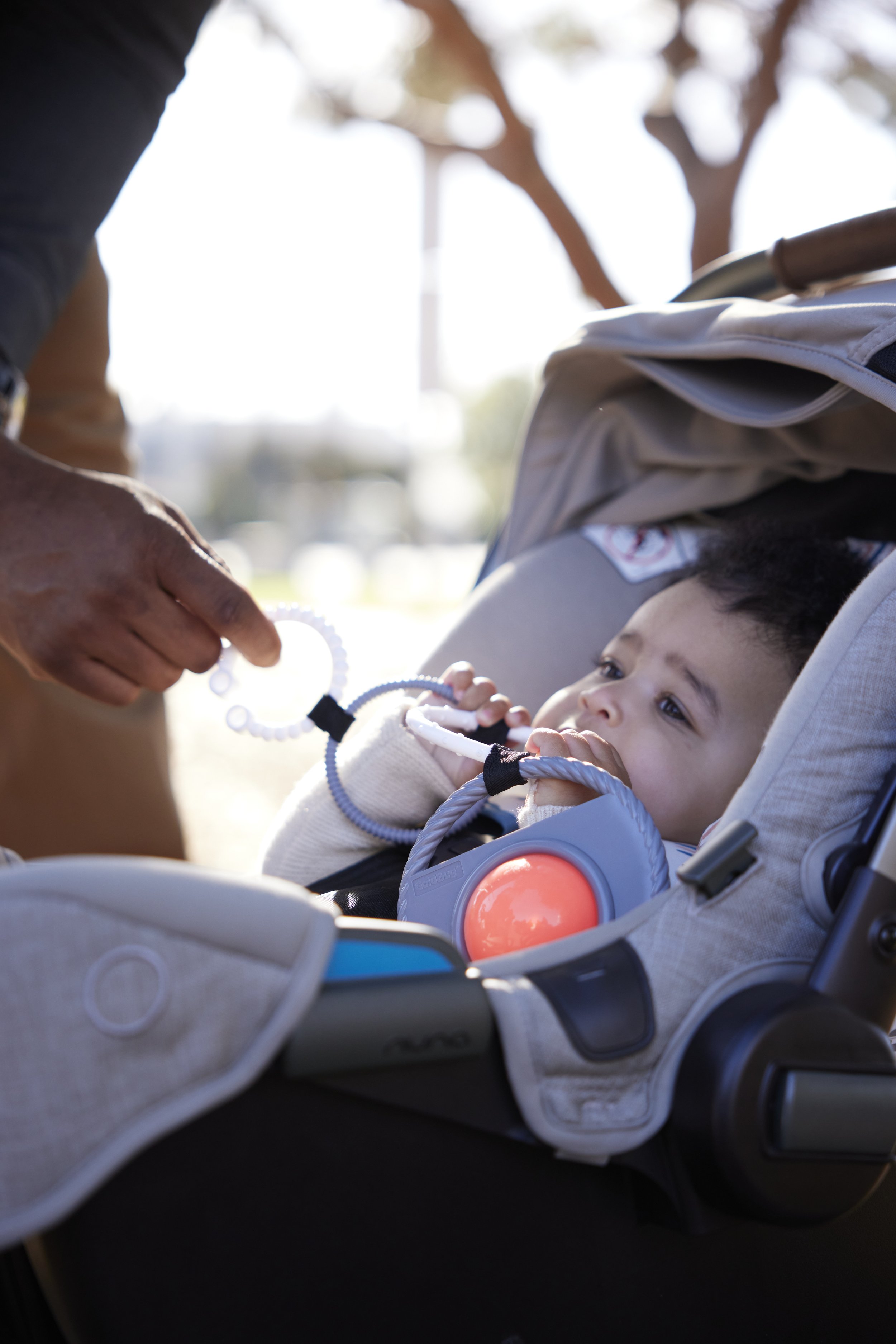 24.11.18 GoldBug0284.jpg