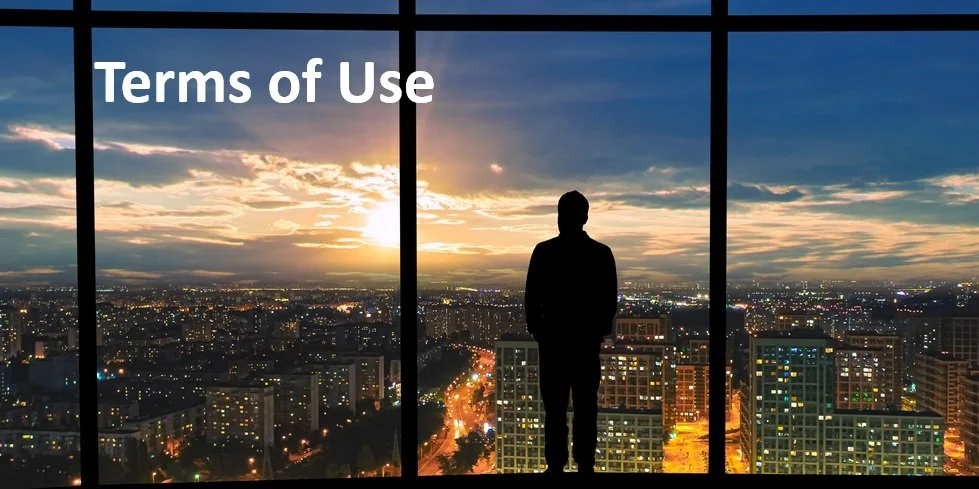 Silhouette of a person standing by a window overlooking a cityscape at sunset, with 'Terms of Use' text on top left.