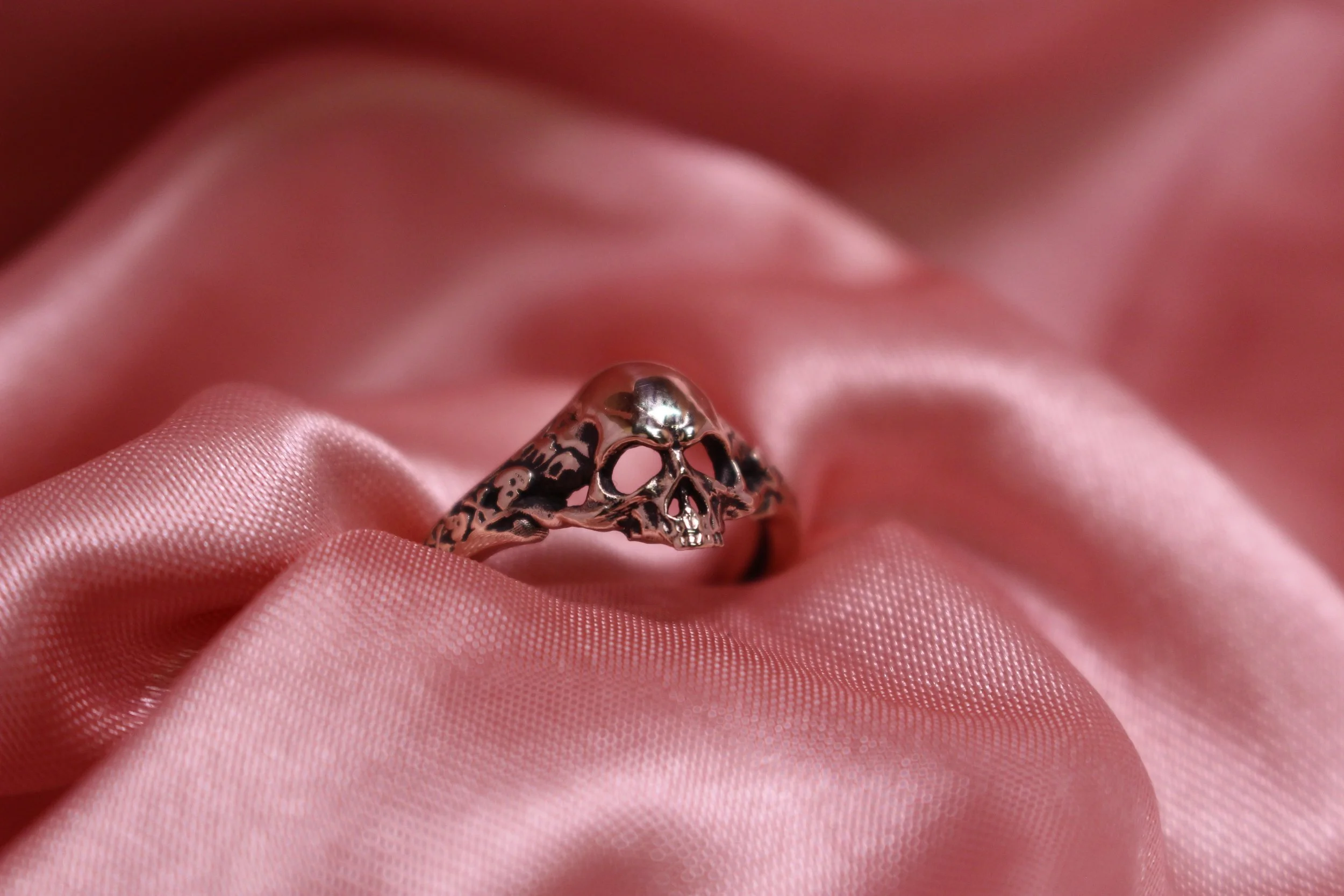 Skull - Bronze 2.JPG