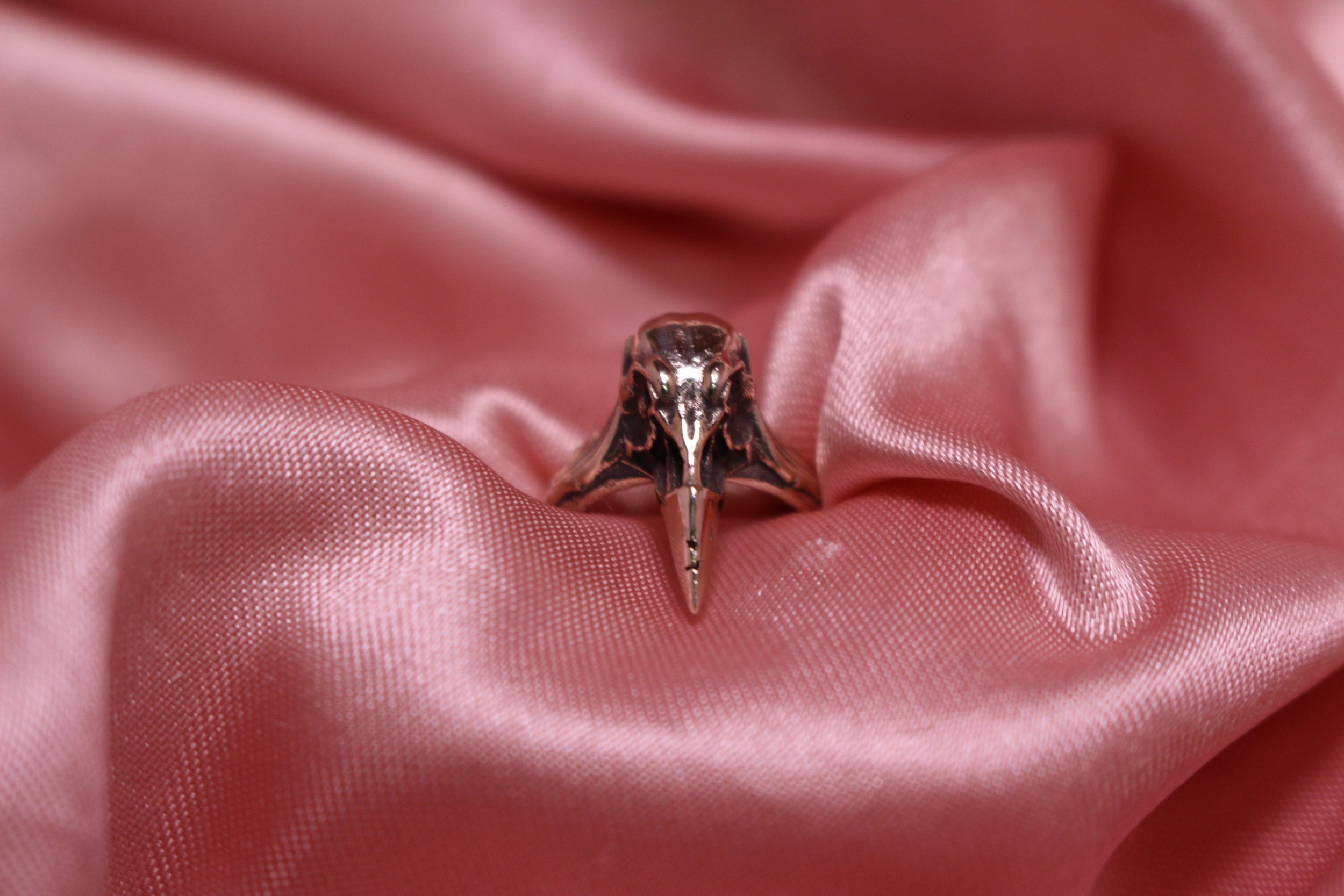 Raven Ring - Bronze 2.JPG