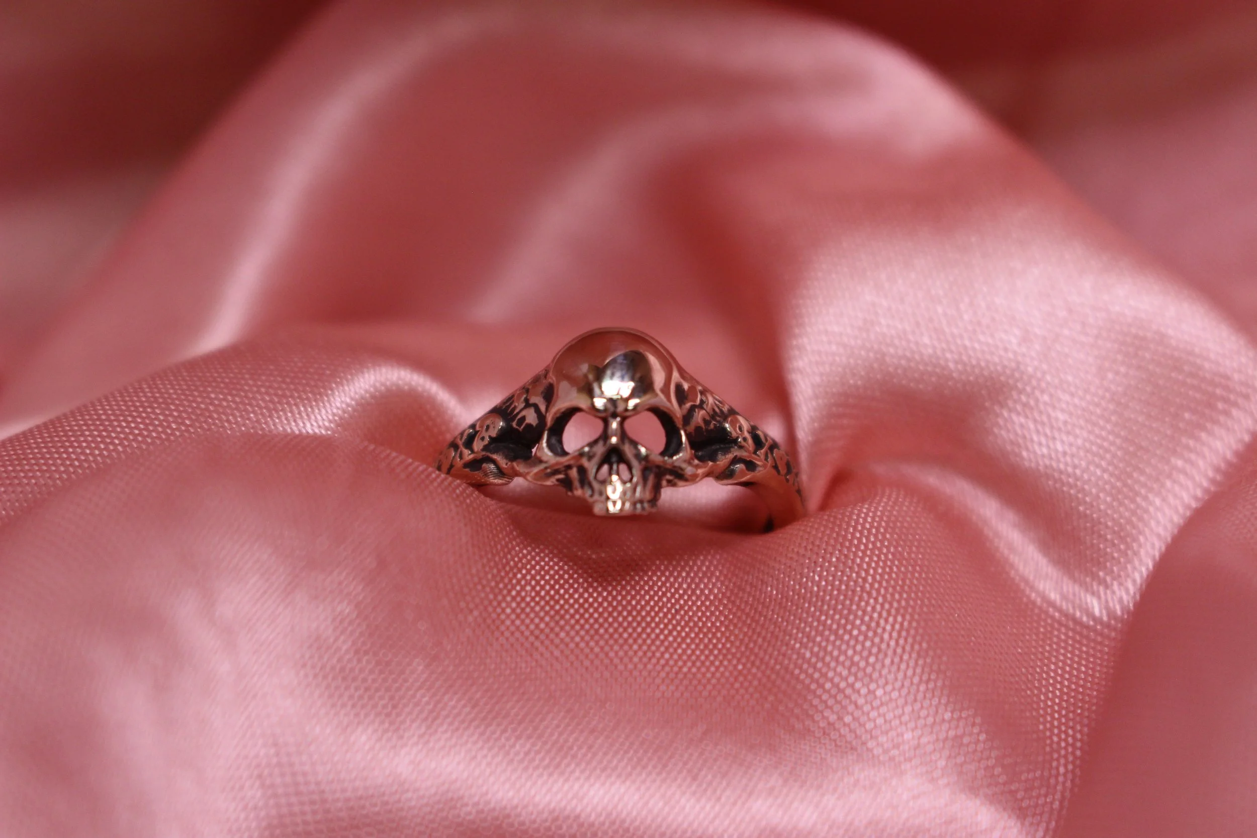 Skull - Bronze 1.JPG