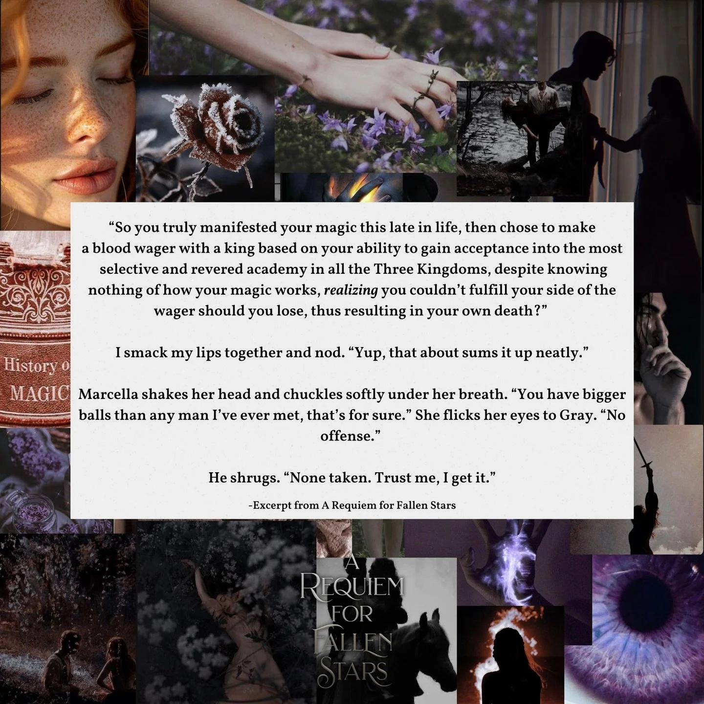 Summarizing A Requiem for Fallen Stars with one passage from the book. 

#tbrstack #fantasyromancereads #currentlyreadi̇ng