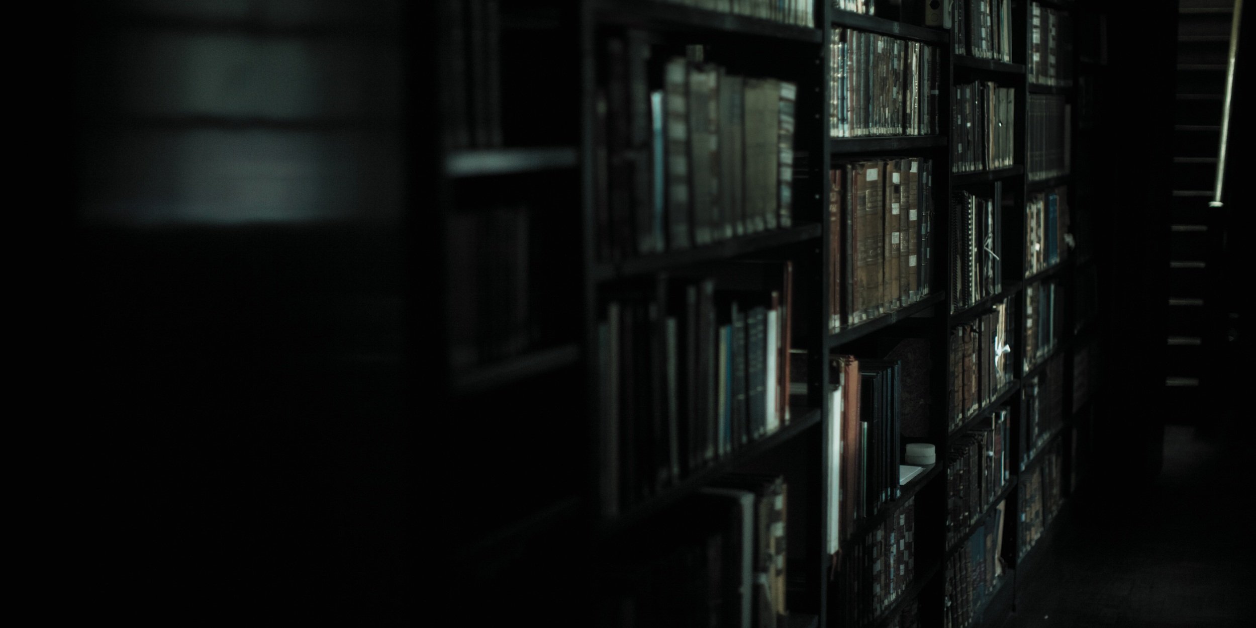 TRRB_Blog Banner.jpg