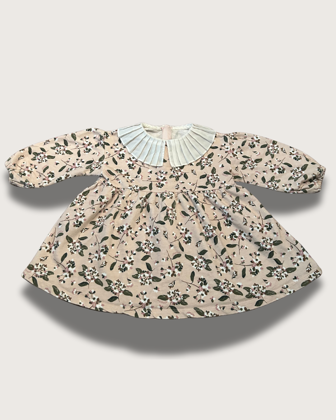 Beige Modern About Me Animated Instagram Post - 2025-07-19T154738.665.png