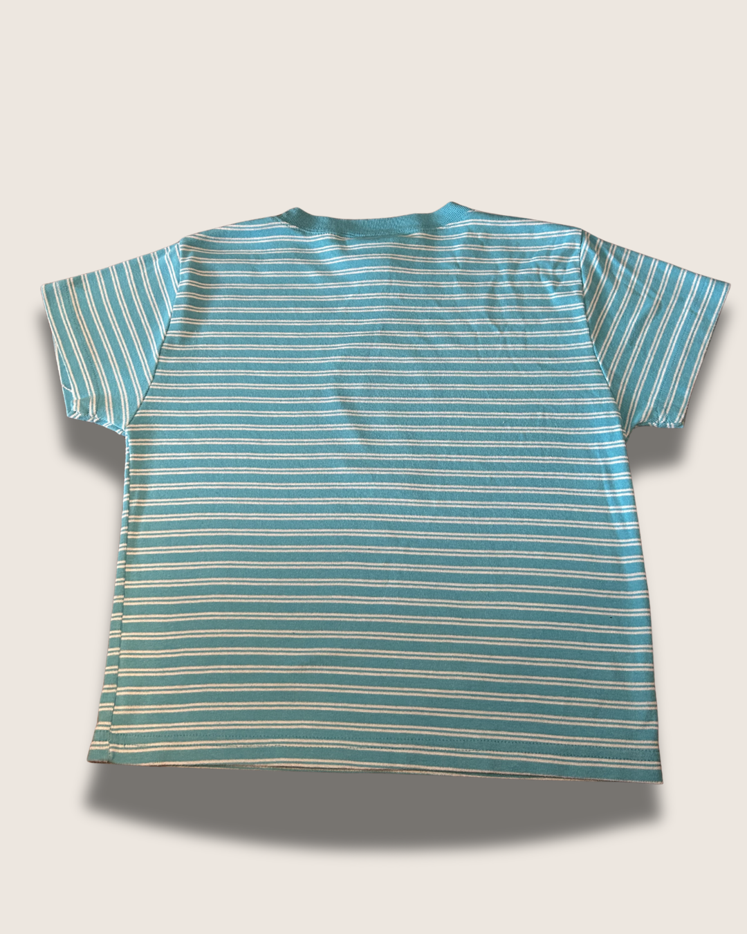 Remove Ironing Board Background (22).png