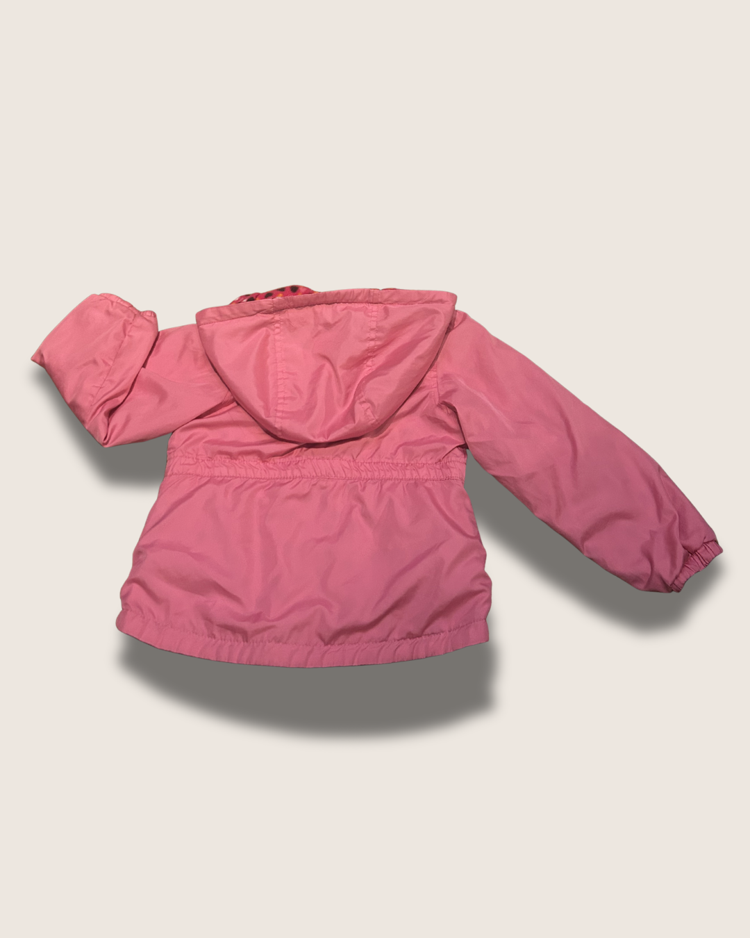 Untitled design - 2026-03-13T234949.039.png