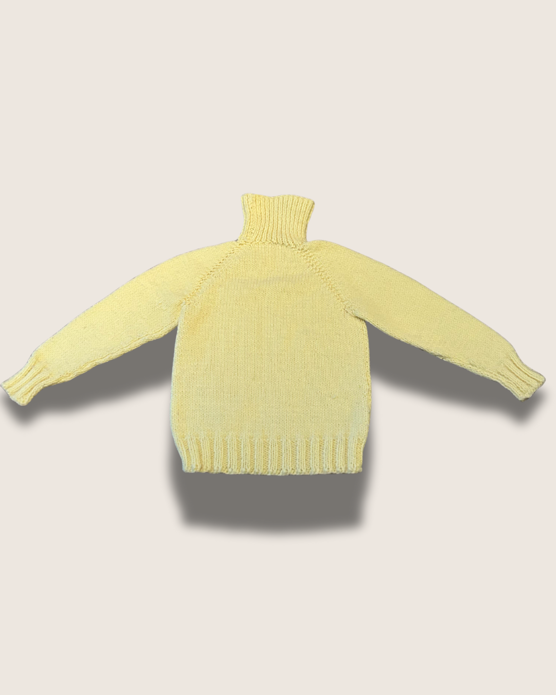 Untitled design - 2026-01-18T220452.304.png