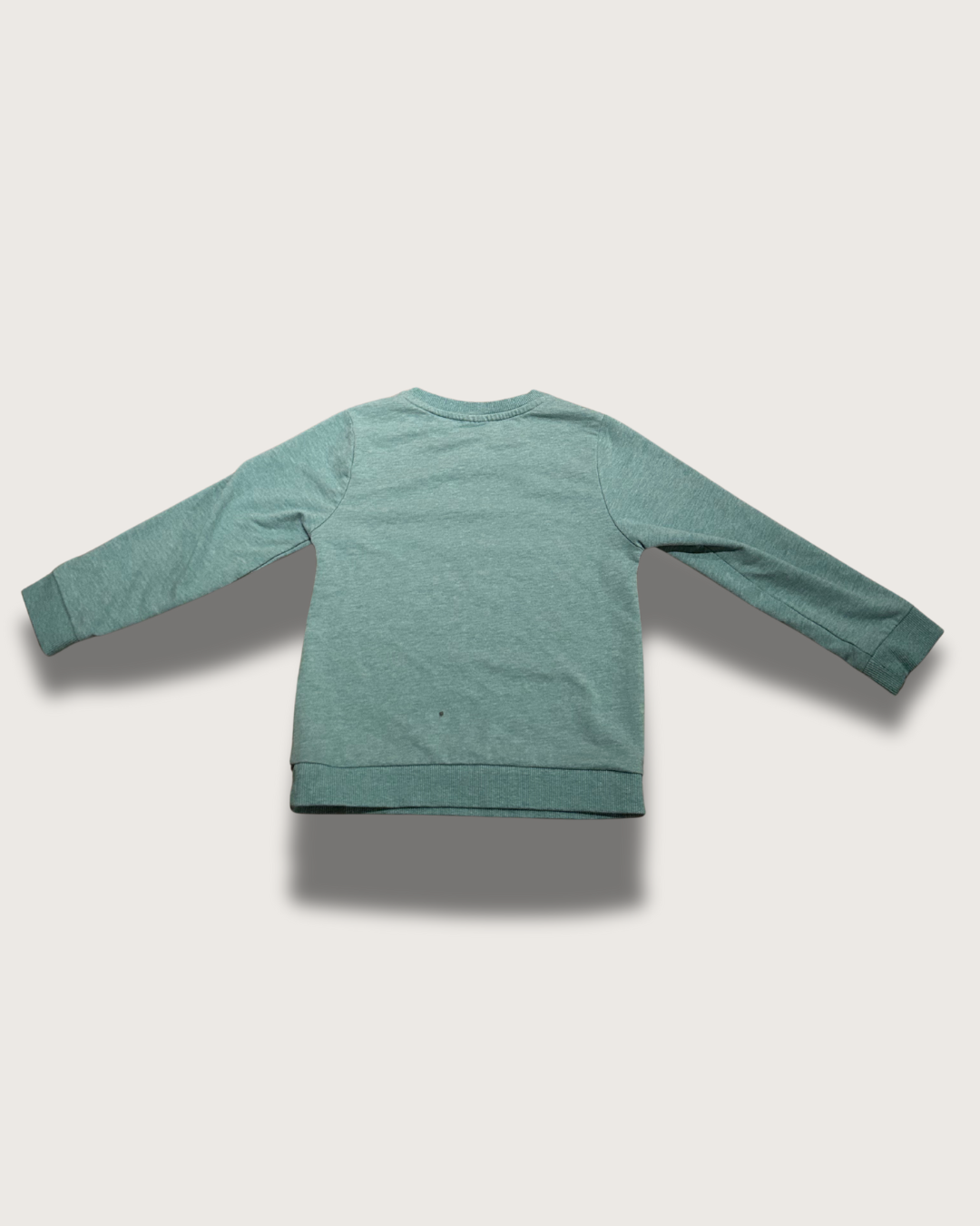 Beige Modern About Me Animated Instagram Post - 2025-07-12T104732.874.png