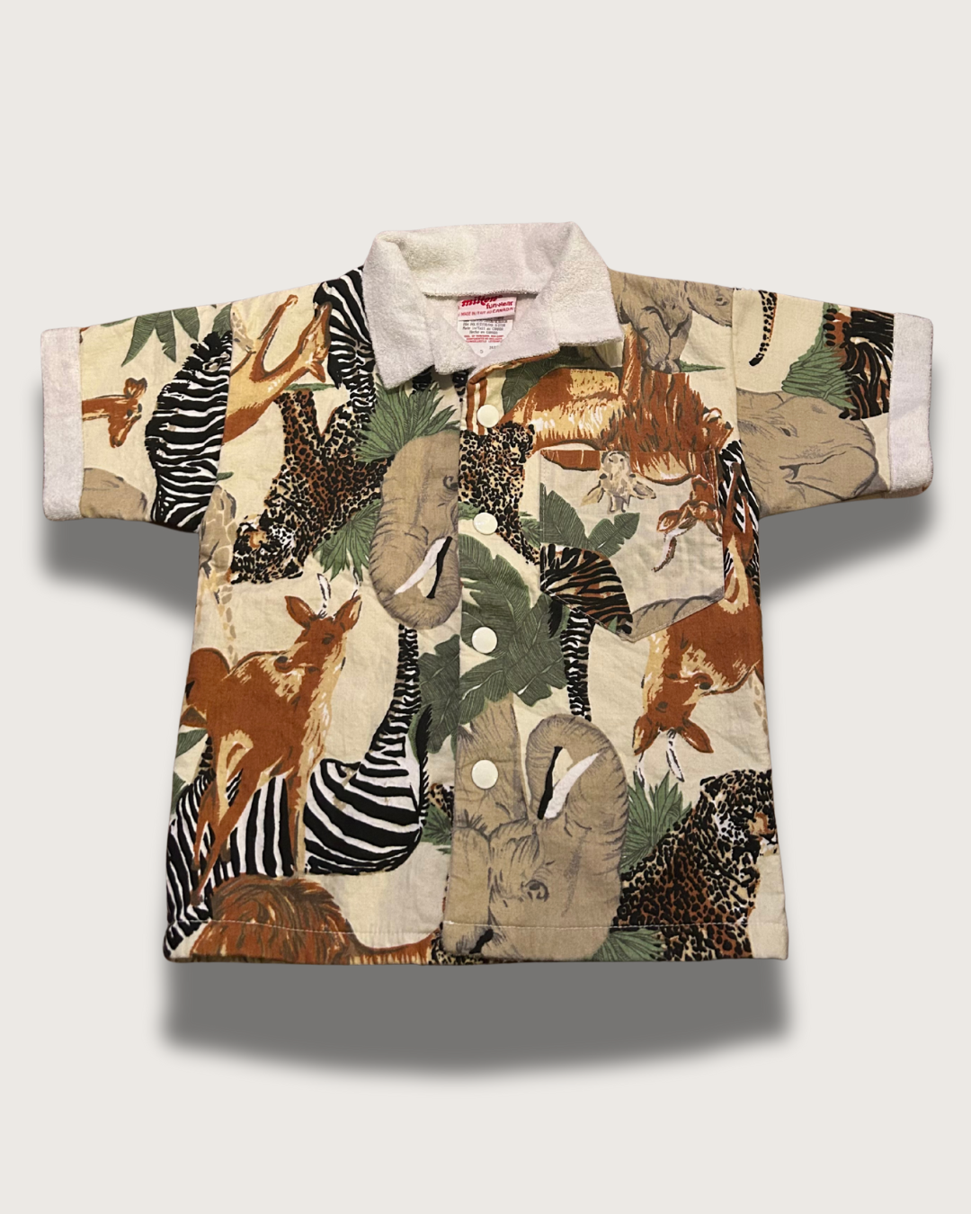 Beige Modern About Me Animated Instagram Post - 2025-07-23T091215.326.png