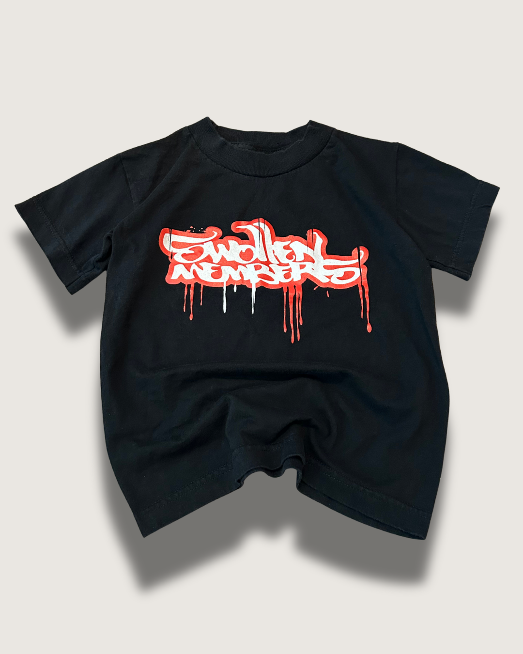 Y2K Swollen Members Band Tee