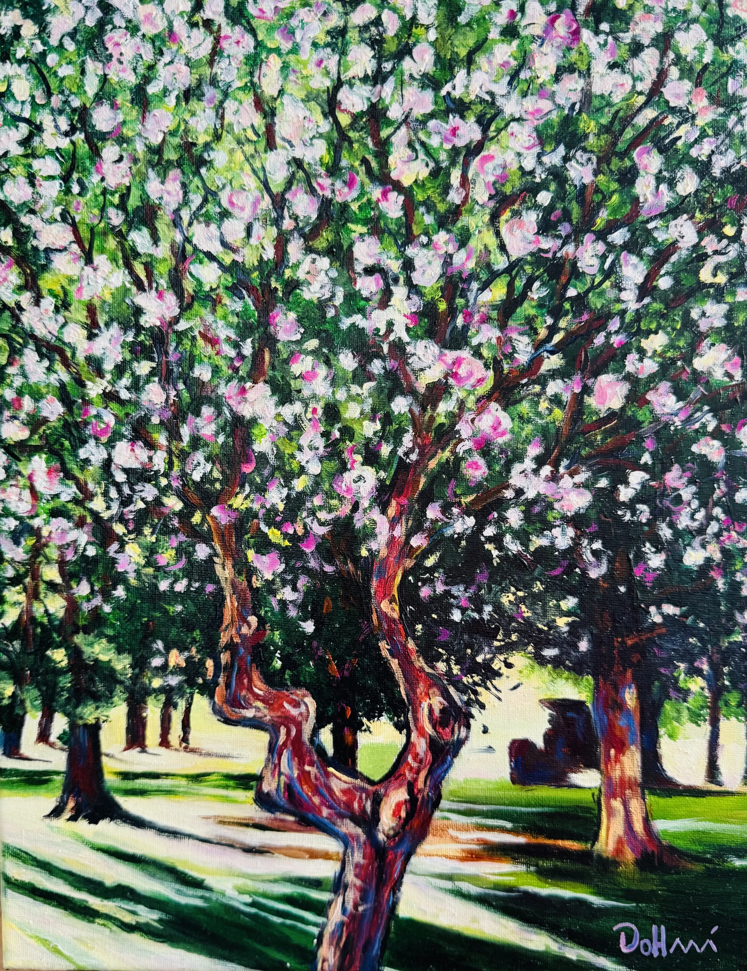 Floraison de pommier