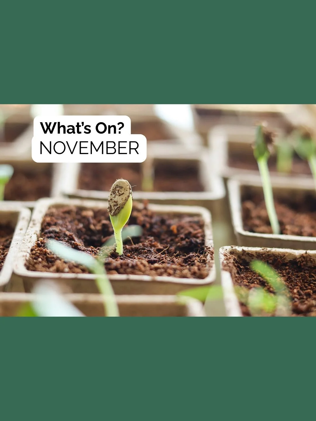 November is knocking at the door & it is a big month across the state for green thumb plant lovers! 
If you have an event you would like us to share, please message our page or comment below with the details.
