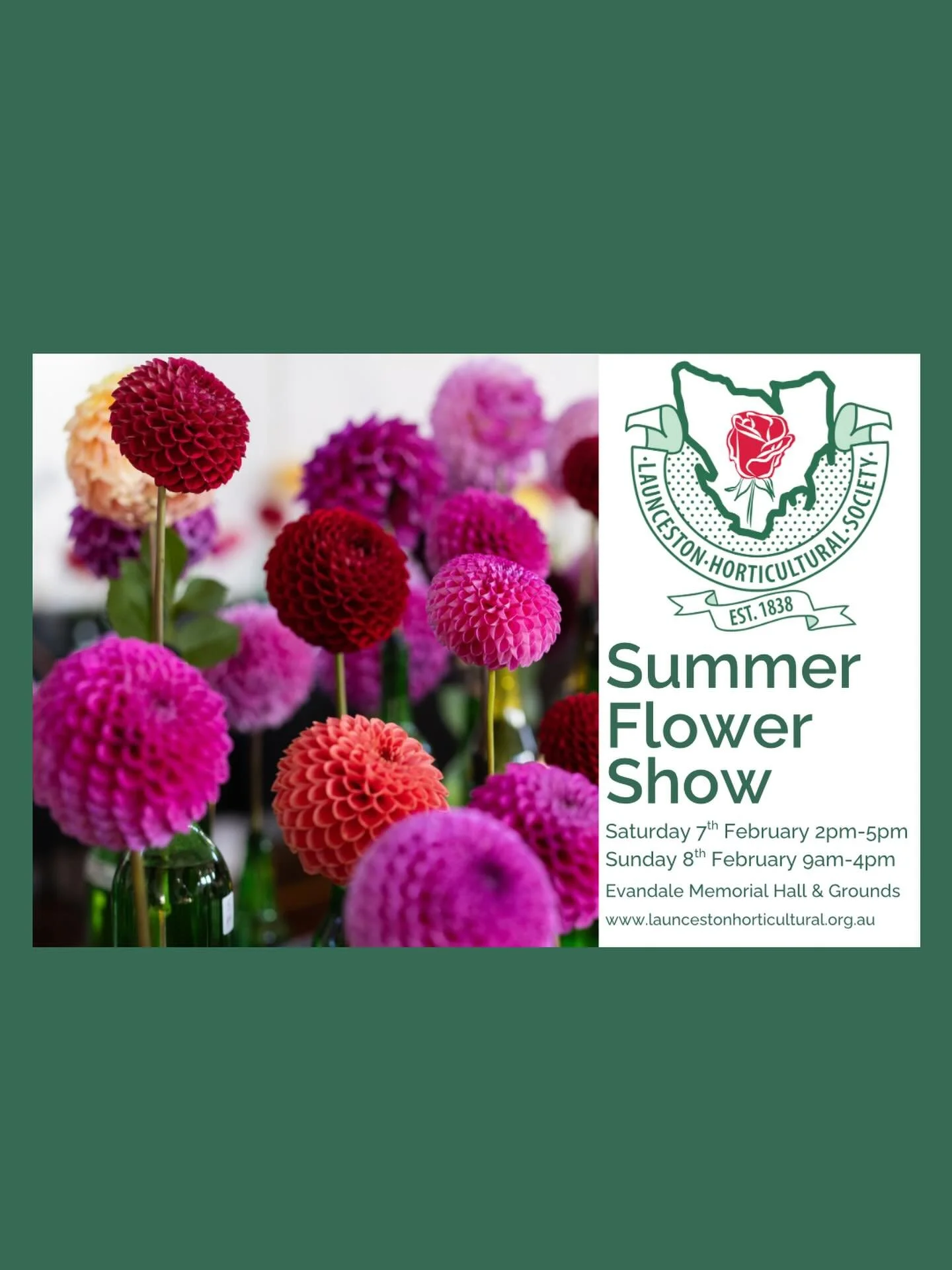 It is almost that time to dust off the glass bottles, sharpen up those snips and get ready for your eyes to be blinded by colour!
☀️ Summer Flower Show 
⏰ Saturday 7th February 2pm-5pm
⏰ Sunday 8th February 9am-4pm
📍 Evandale Memorial Hall &amp; Gro