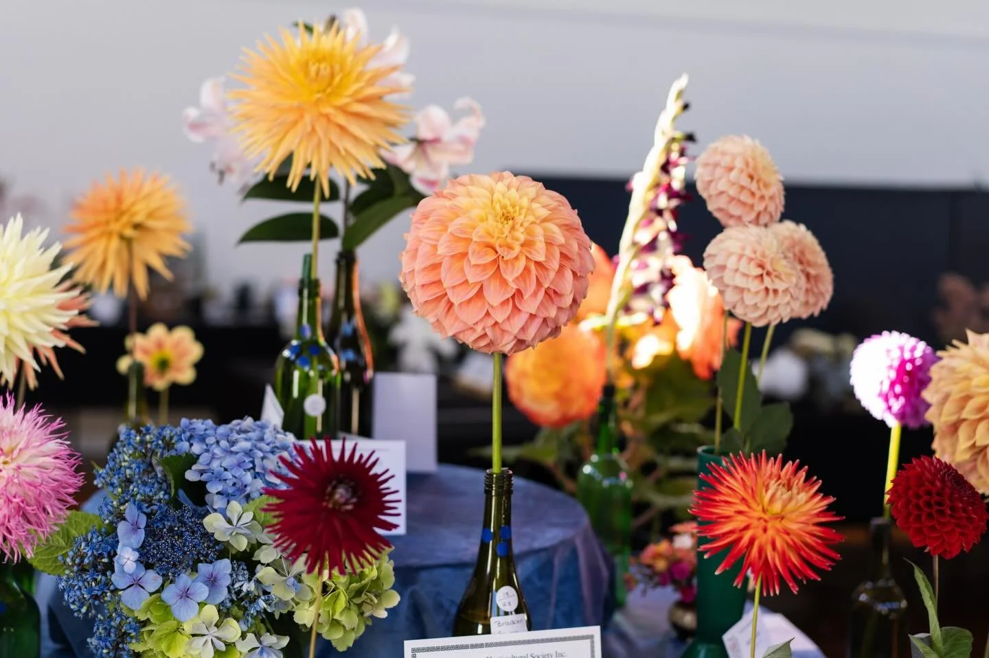 Who will land on our Championship table this time? Maybe you have the winning bloom!