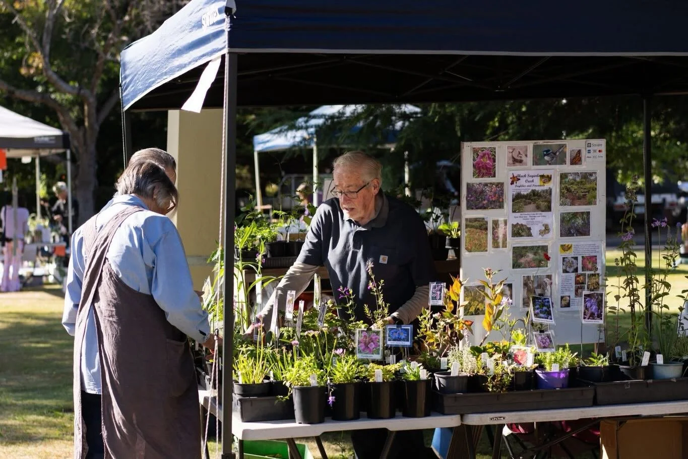 Our wonderful Garden Market stallholders are eager to see you all at our Summer Flower Show! 
On offer at this coming show:
🪴 plants of all sorts from succulents to dahlias, orchids to hoyas + so much more
💐 fresh cut flowers
🐝  garden inspired cr