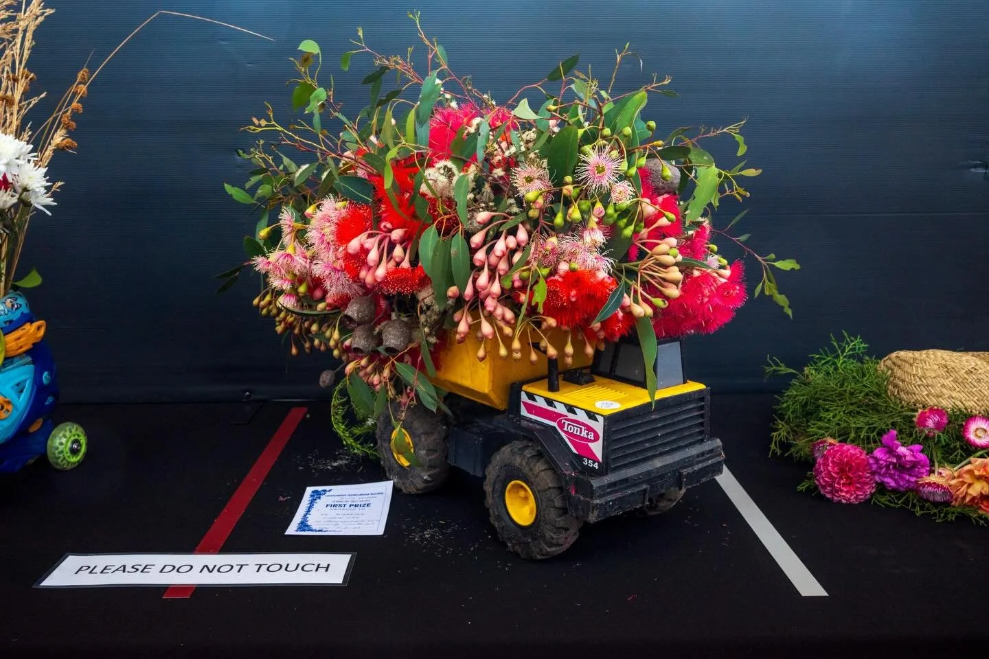 We love how creative our community is!
The Junior Floral Art section is perfect for those junior green thumbs with creative, wild ideas. Given a prompt with a working title, the rest is only limited by the imagination.
Our next show will be here befo
