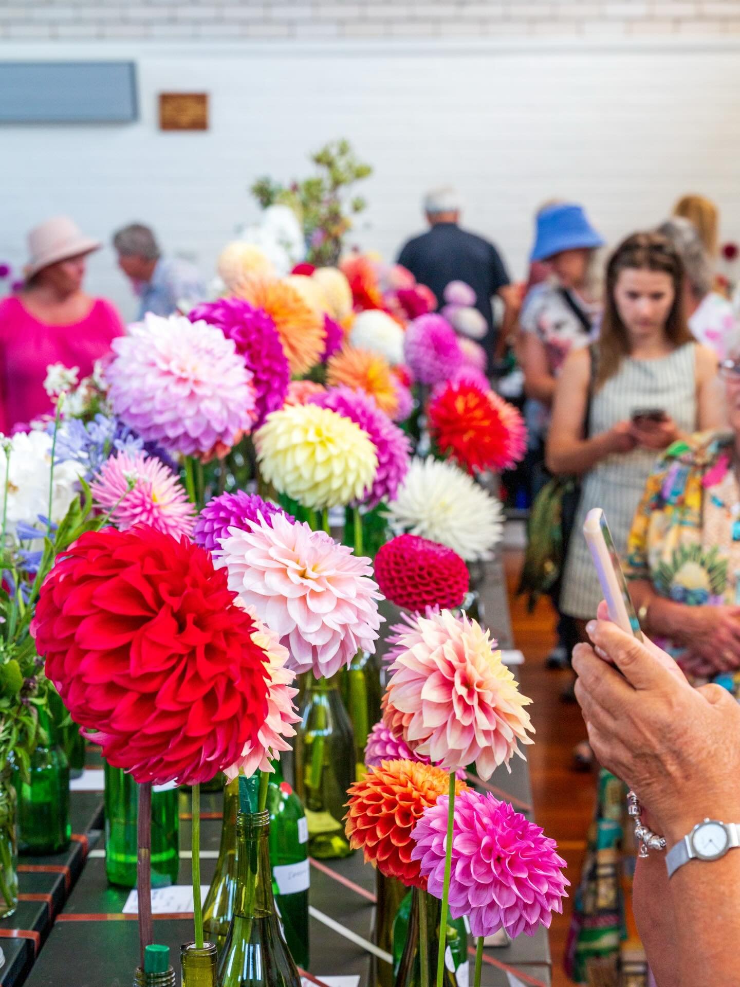 Did you eye off a new &ldquo;must have&rdquo; for next season, at our Summer Flower Show? 

📸 @scottgelston