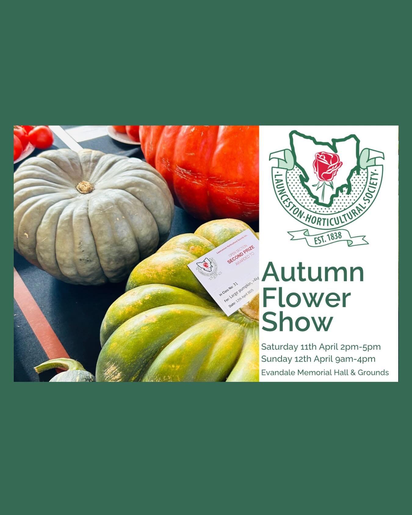 🍁 The change of the seasons will happen before we know it.
Our Autumn show features flowers of course, but the true show stoppers come from the produce harvest of the growing season. 
Giant pumpkins, gnarly carrots, quirky gourds, rainbow tomatoes -