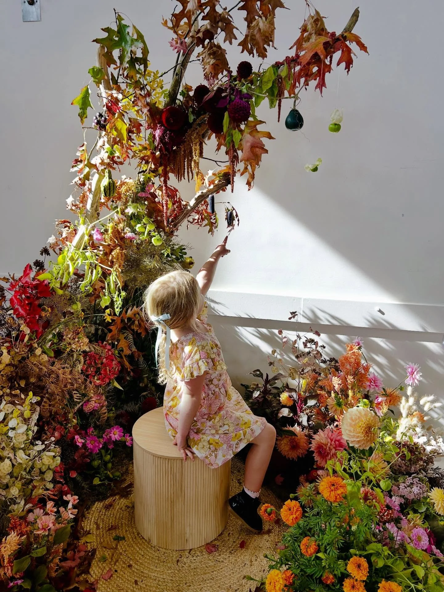 🍁 Let&rsquo;s flashback to Autumn 2025 - a few snapshots from our show, a sample of what will be on offer this coming week.
Hope to see you there! 
🍂 Autumn Flower Show
⏰ Saturday 11th April &bull; 2pm-5pm
⏰ Sunday 12th April &bull; 9am-4pm
📍 Evan