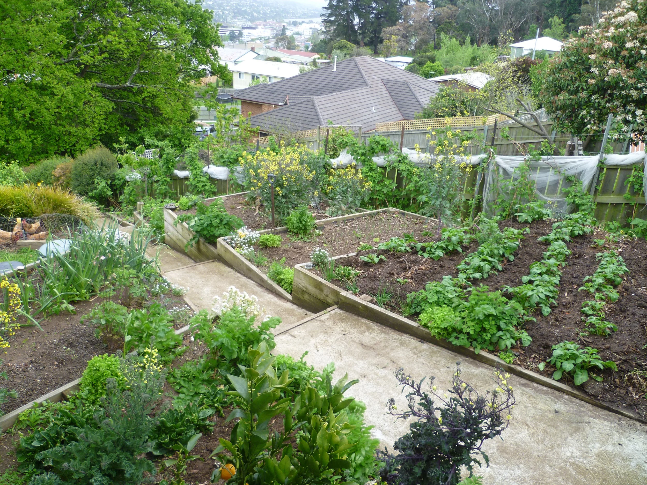 Photo credit Denby Badcock