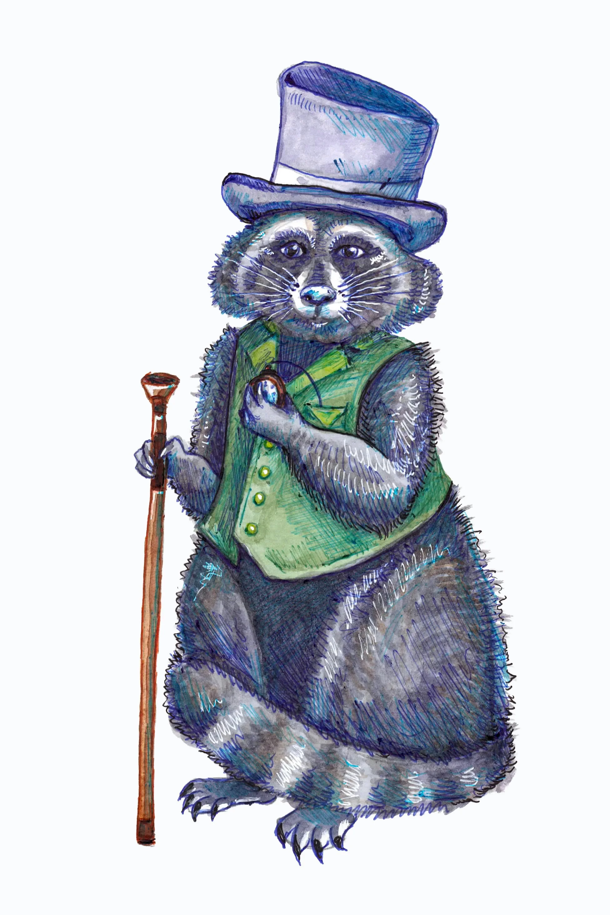 DapperRaccoon1.jpg