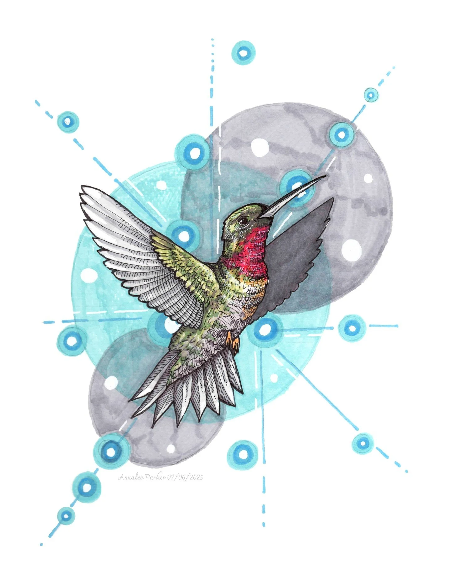 Ruby Throated Hummingbird.
11x15&quot; - Micron pen and alcohol markers.

#rubythroatedhummingbird #hummingbird #hummingbirdillustration #hummingbirddrawing #birdillustration #birddrawing