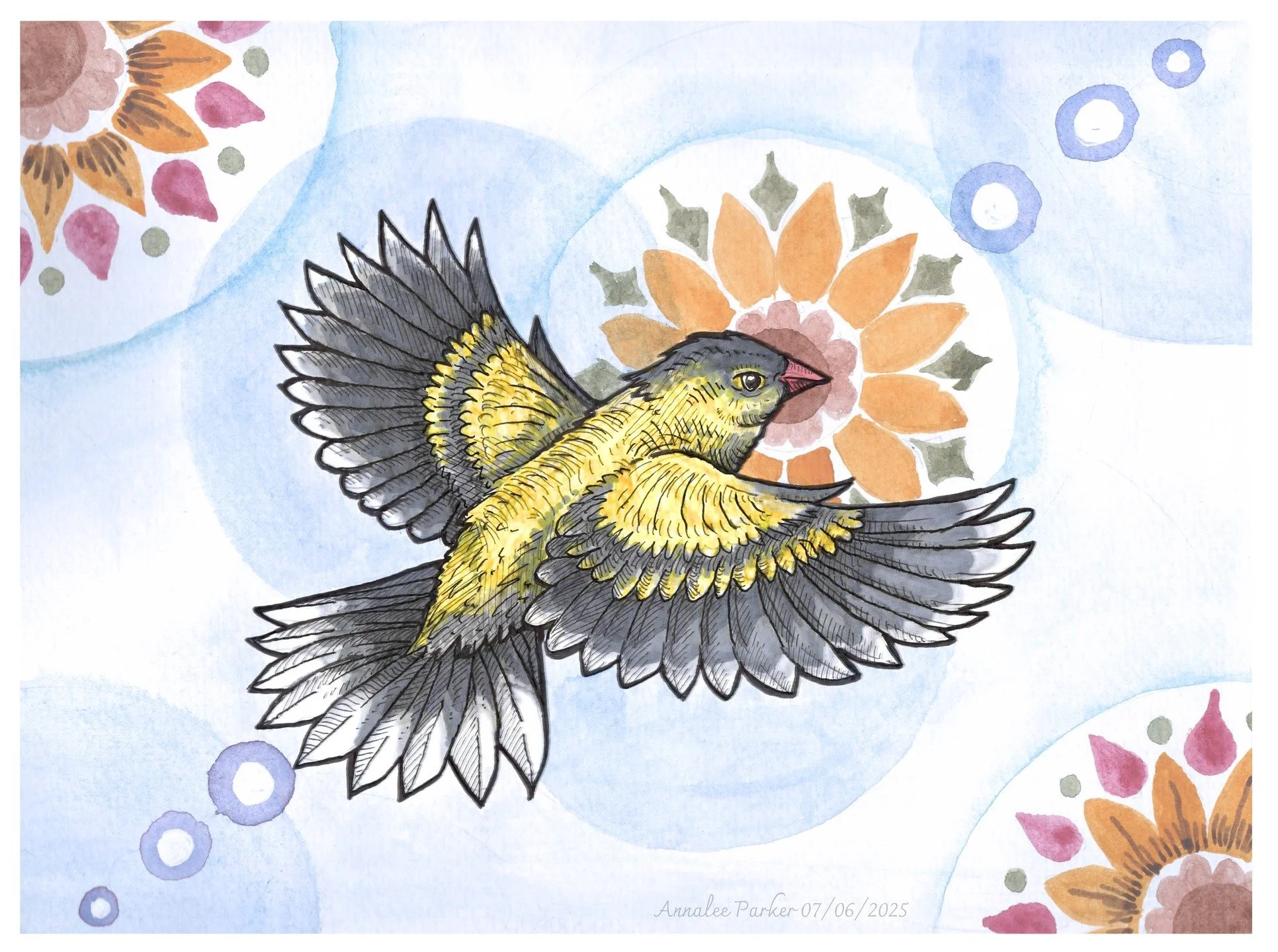 Goldfinch &amp; Sunflowers.
11x8&quot; - Watercolors, micron pen and alcohol markers.

#goldfinch #goldfinchillustration #goldfinchart #illustration #birdillustration #watercolorillustration #watercolorandink