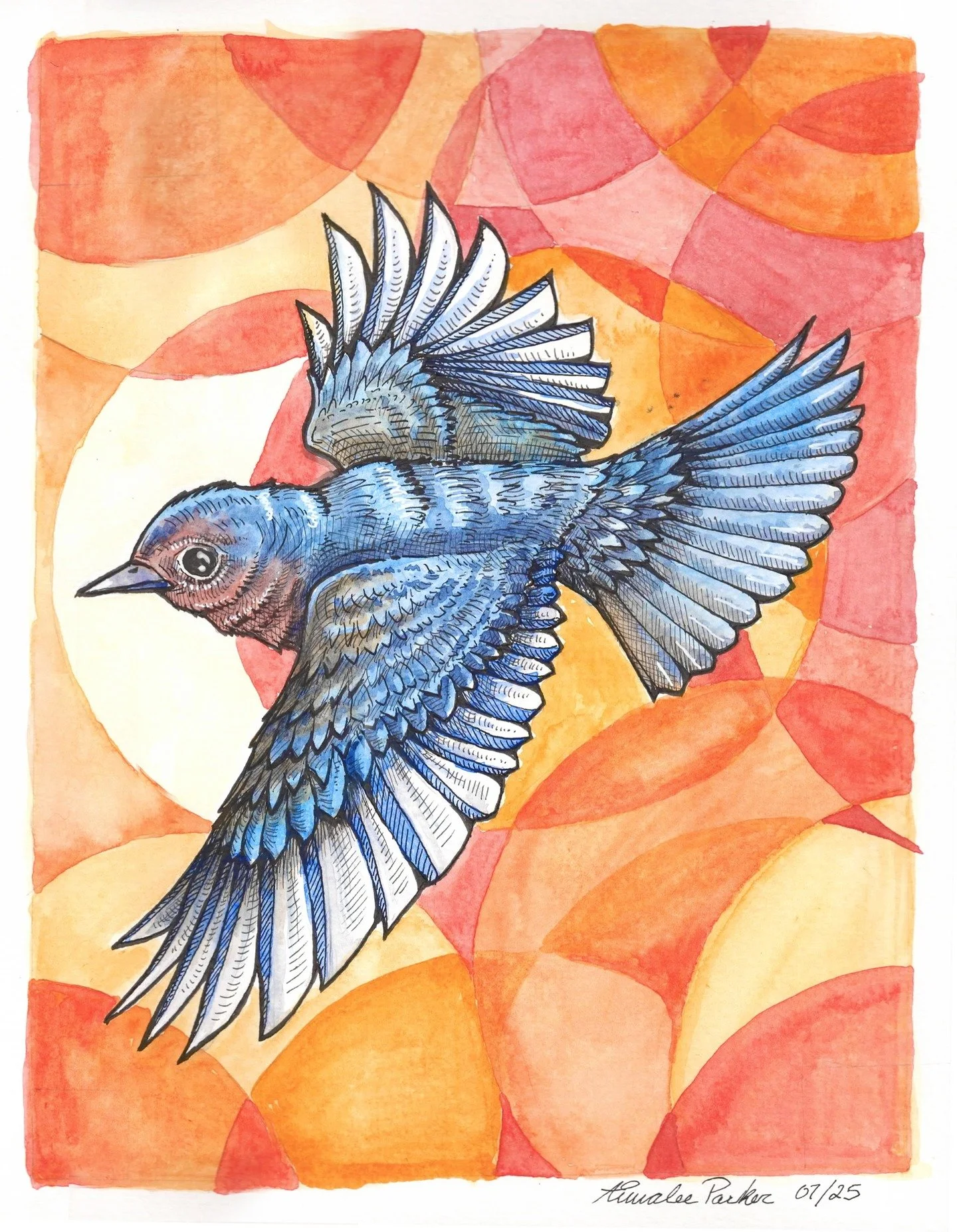 Bluebird - 11x14&quot;
Carbon ink , micron pen and watercolors.

#bluebird #bluebirdillustration #bluebirdart #birdillustration #birdartwork #watercolor #watercolorillustration #watercolorandink #watercolorandinkpainting