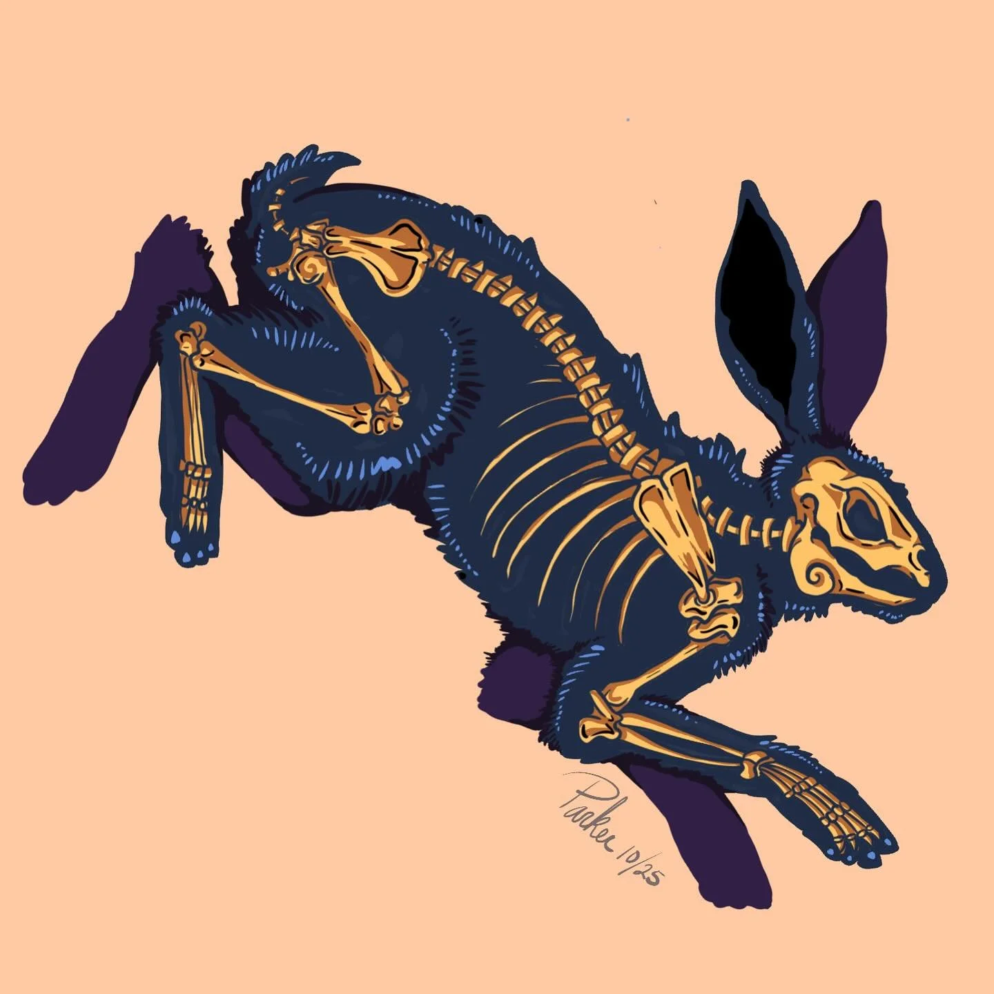 🎃 A Halloween bunny 🐇 

#happyhalloween #halloween #halloweenbunny