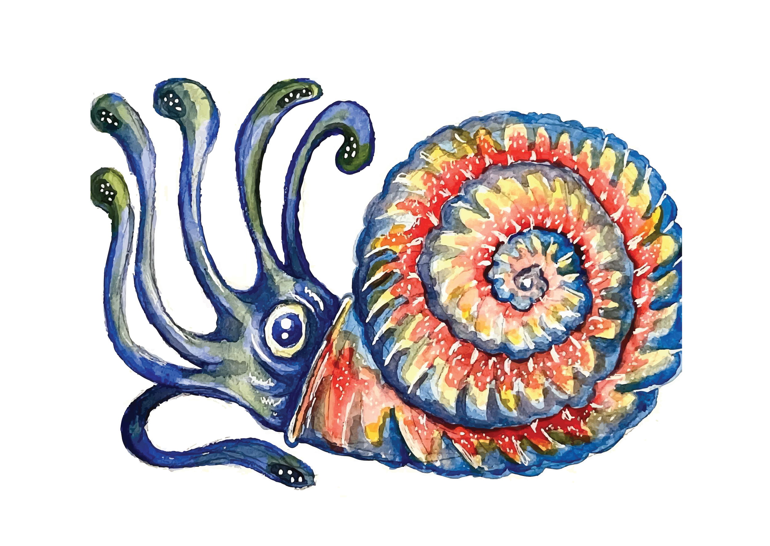 Nautilus.png