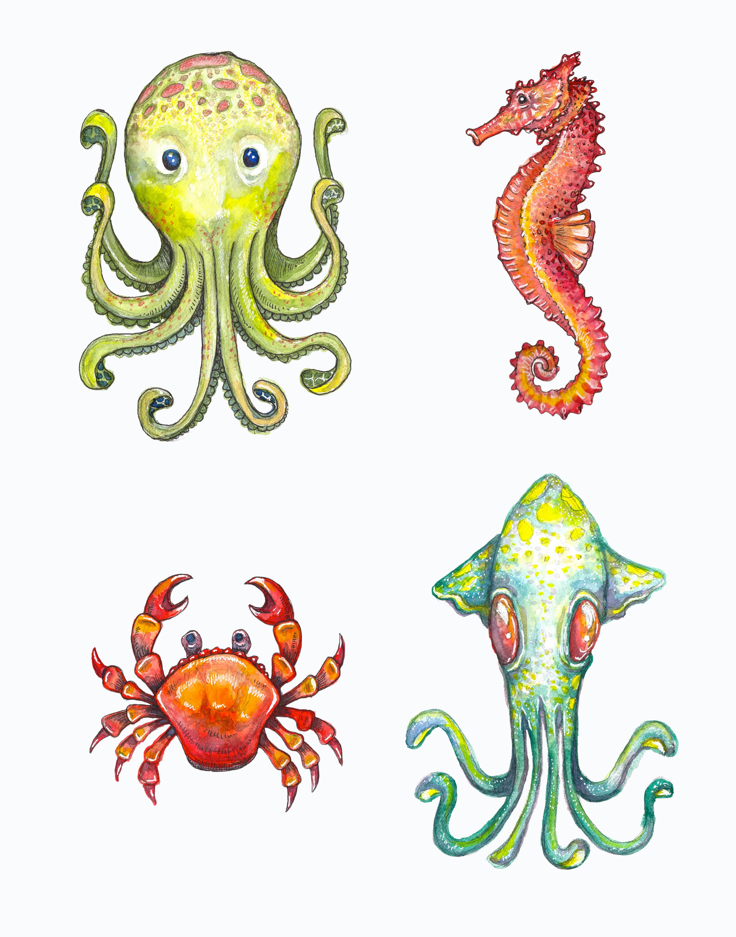 SeaCreatures.jpg