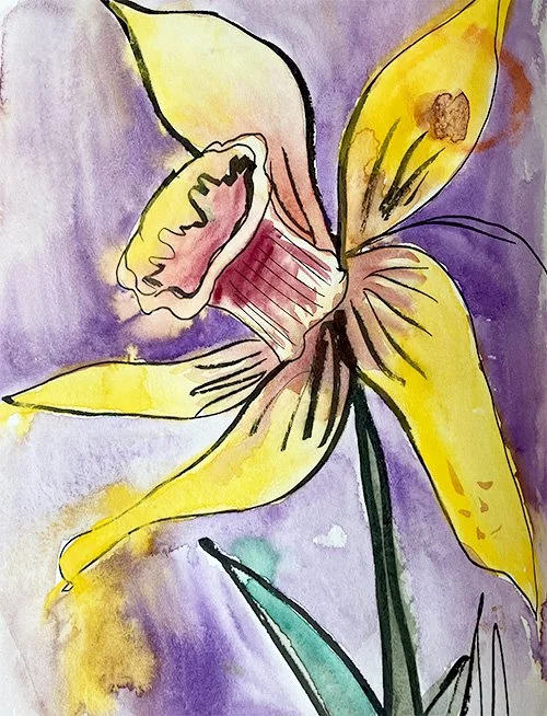 daffodil1.jpg