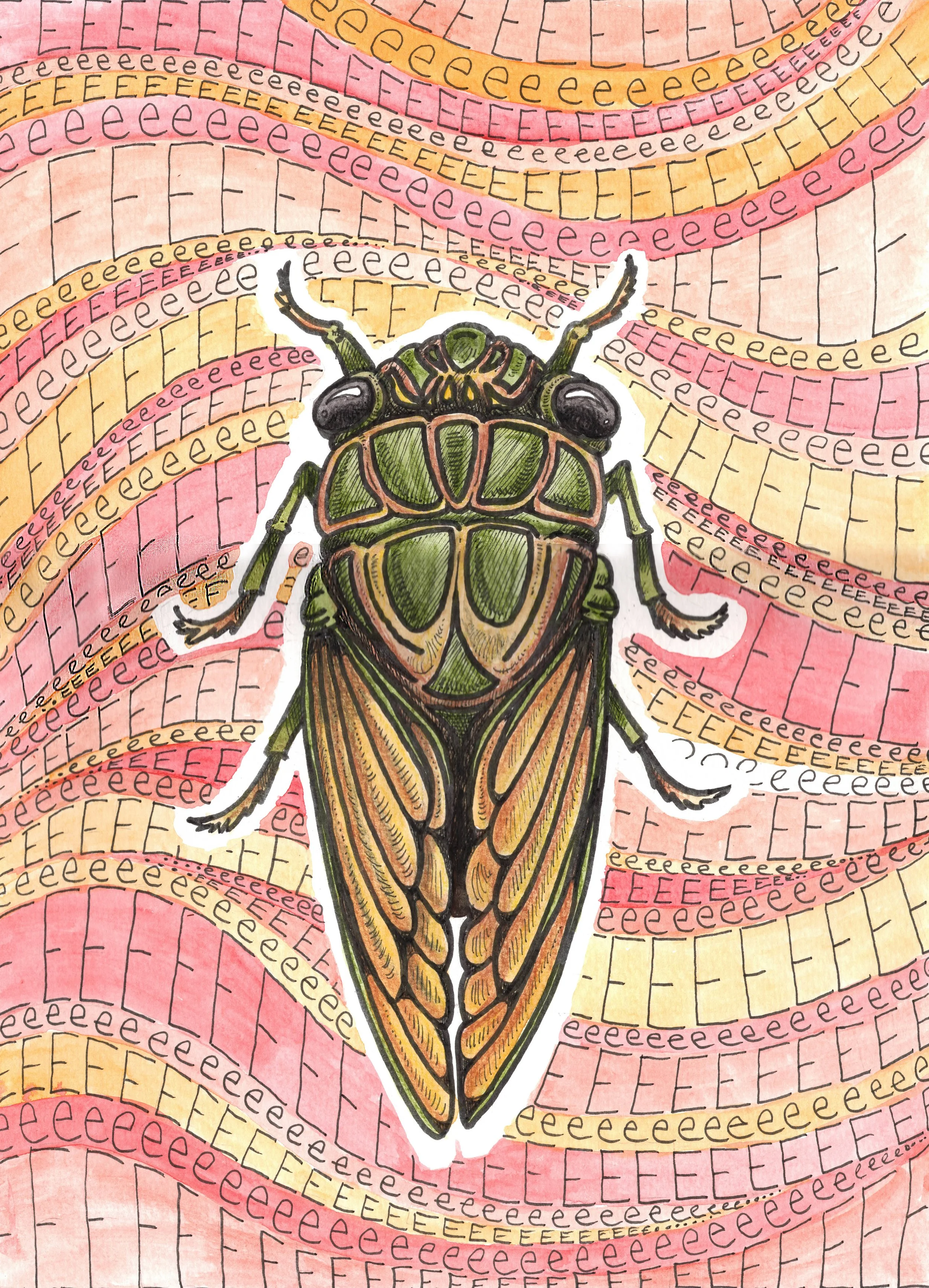 CicadaIllustration-Finished.jpg
