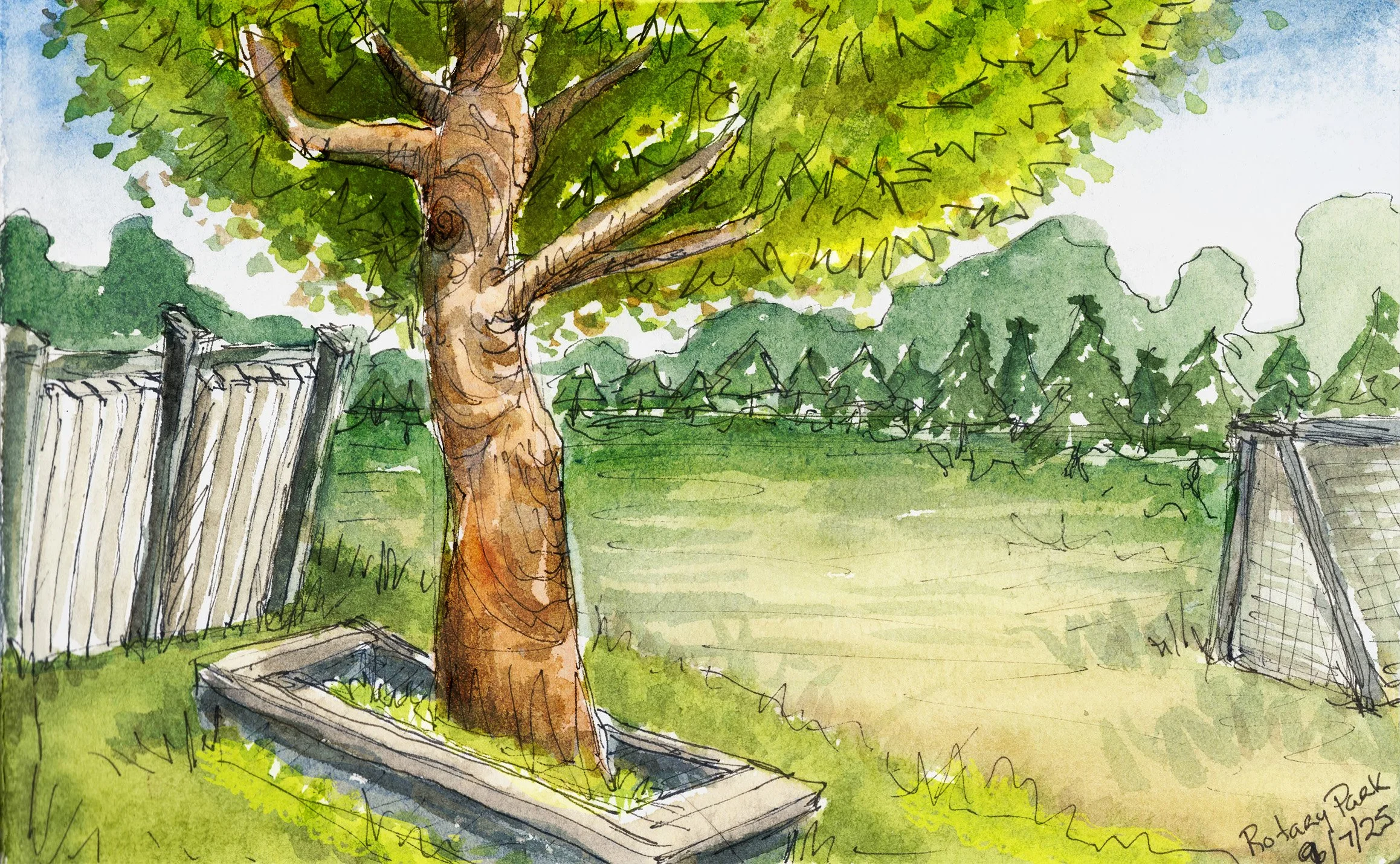 rotaryparktree.jpg