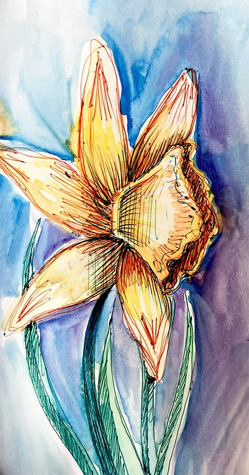 Daffodil.jpg