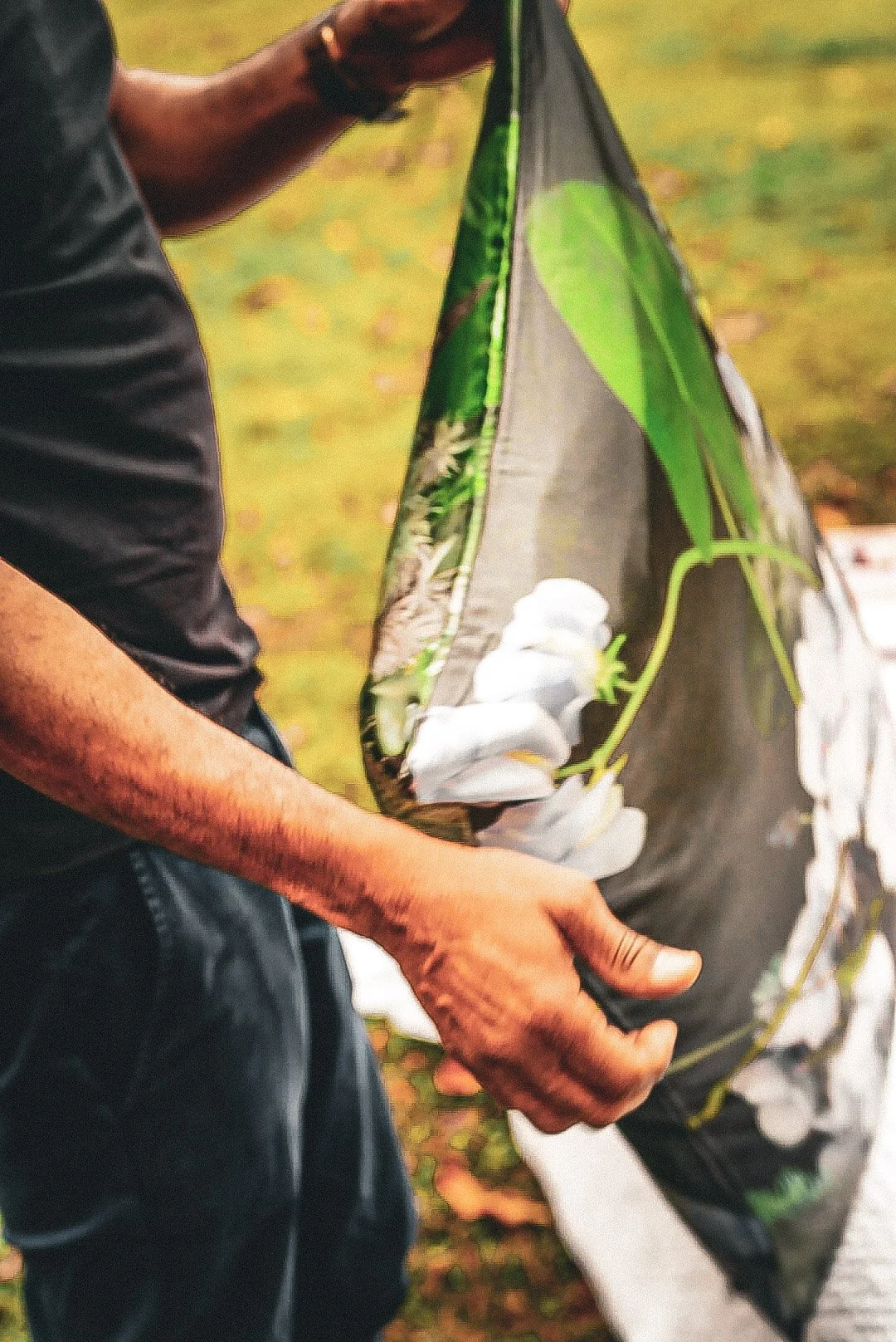 A person holding an open, black and green butterfly or moth pupal case with white pupae inside.