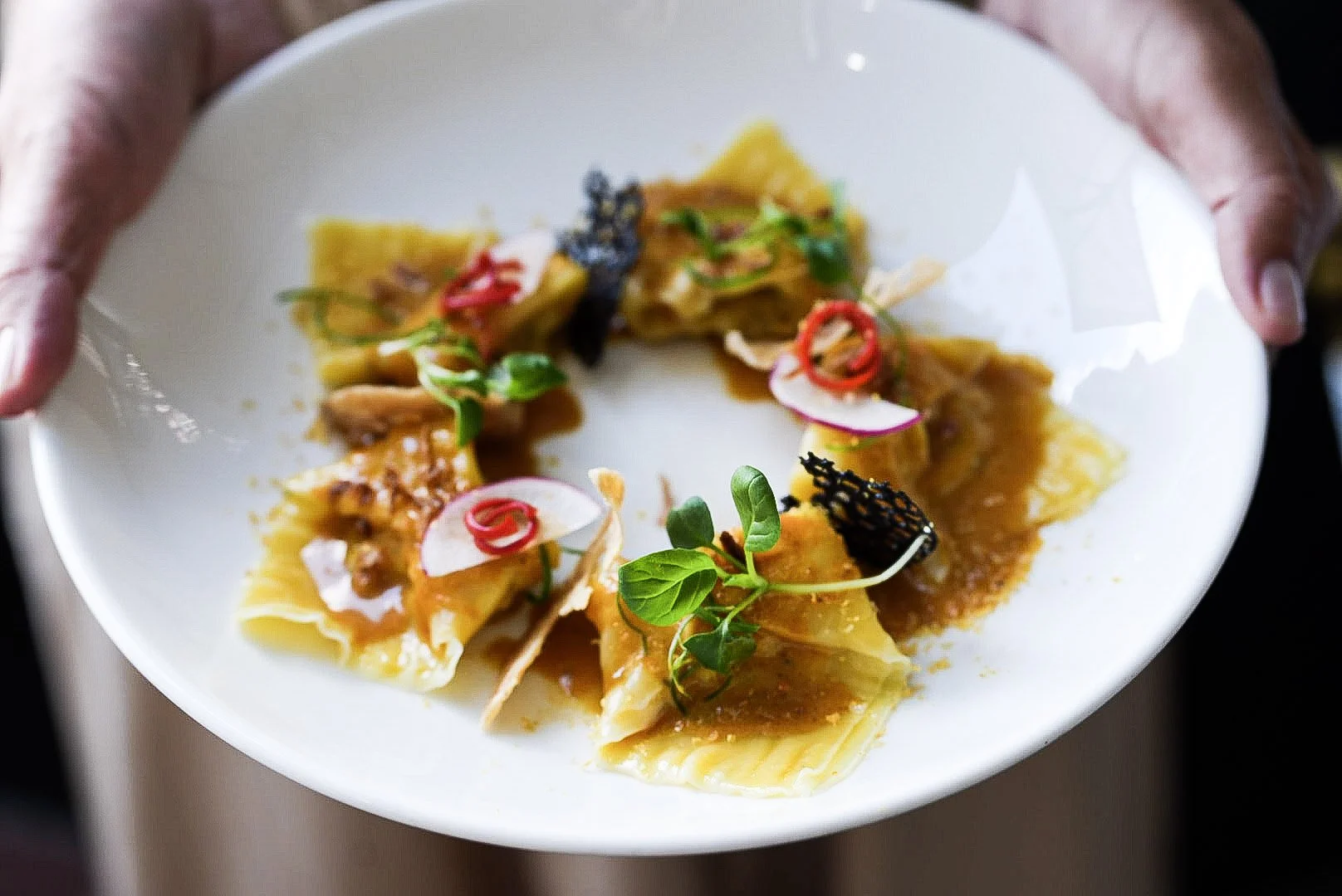 A white plate with ravioli pasta topped with sauce, garnished with fresh herbs, radish slices, red pepper curls, and black and red decorative elements, held by a person.